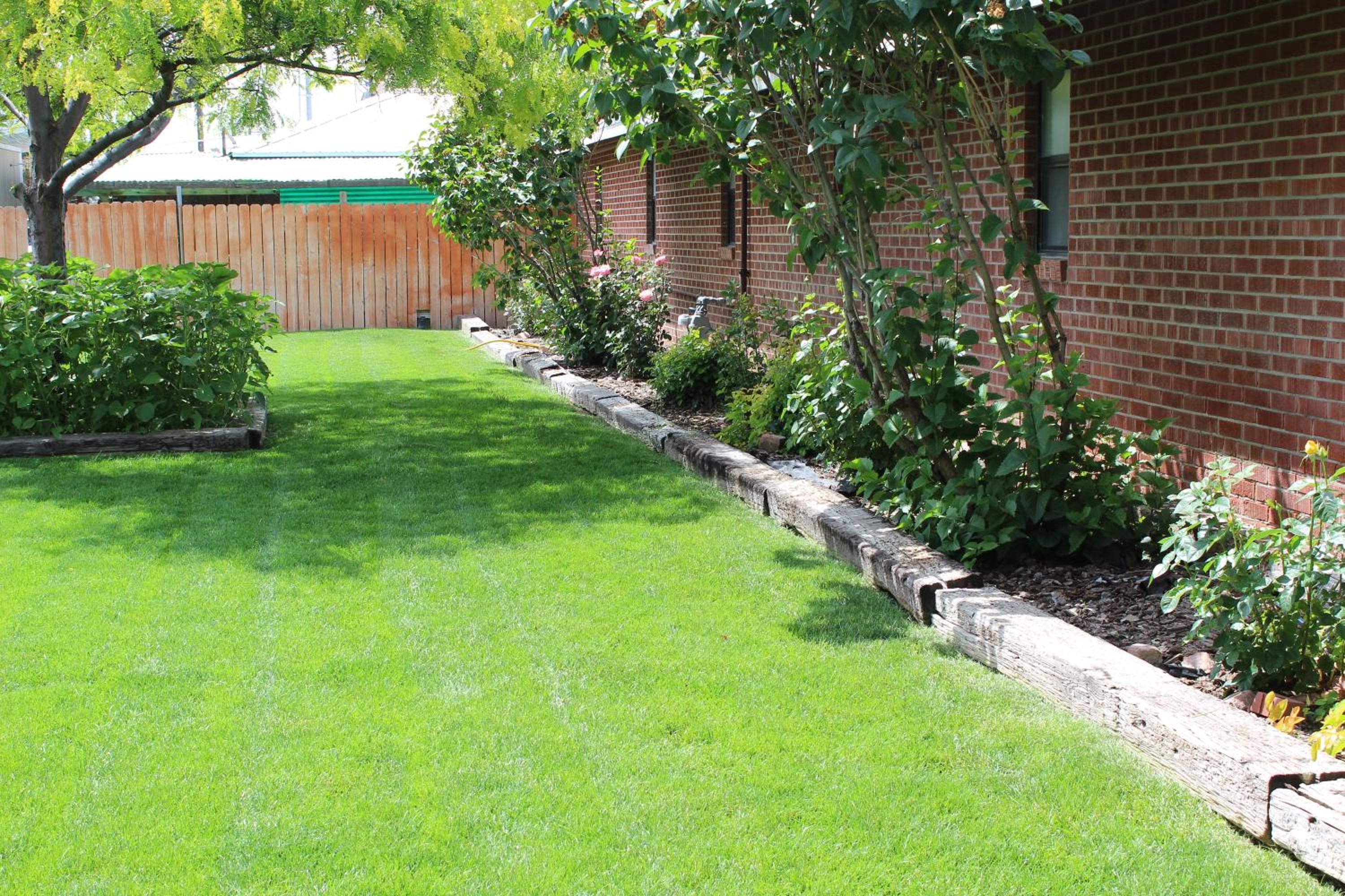 Photo 44