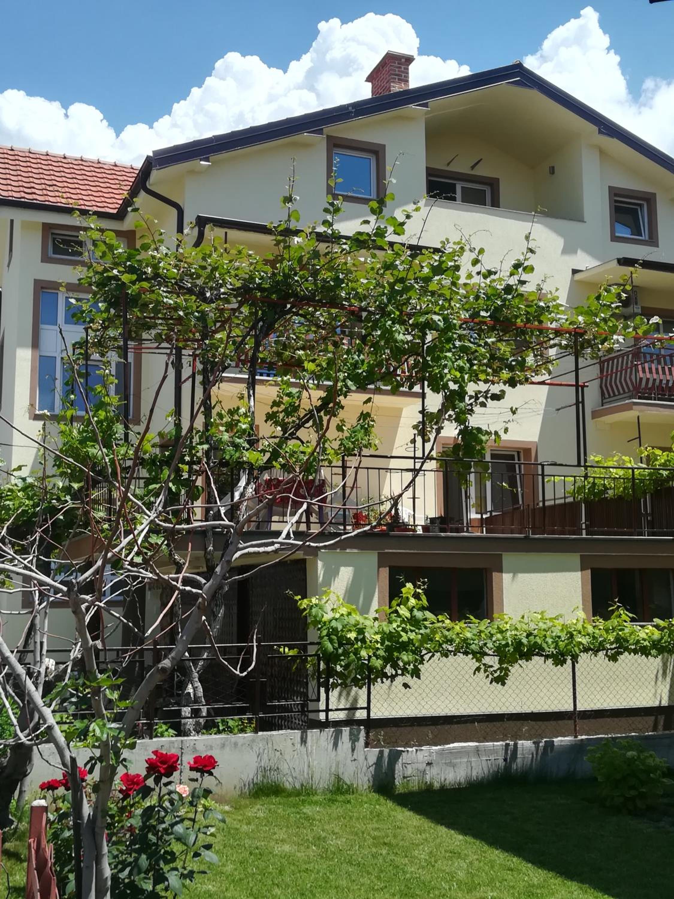 Photo 17
