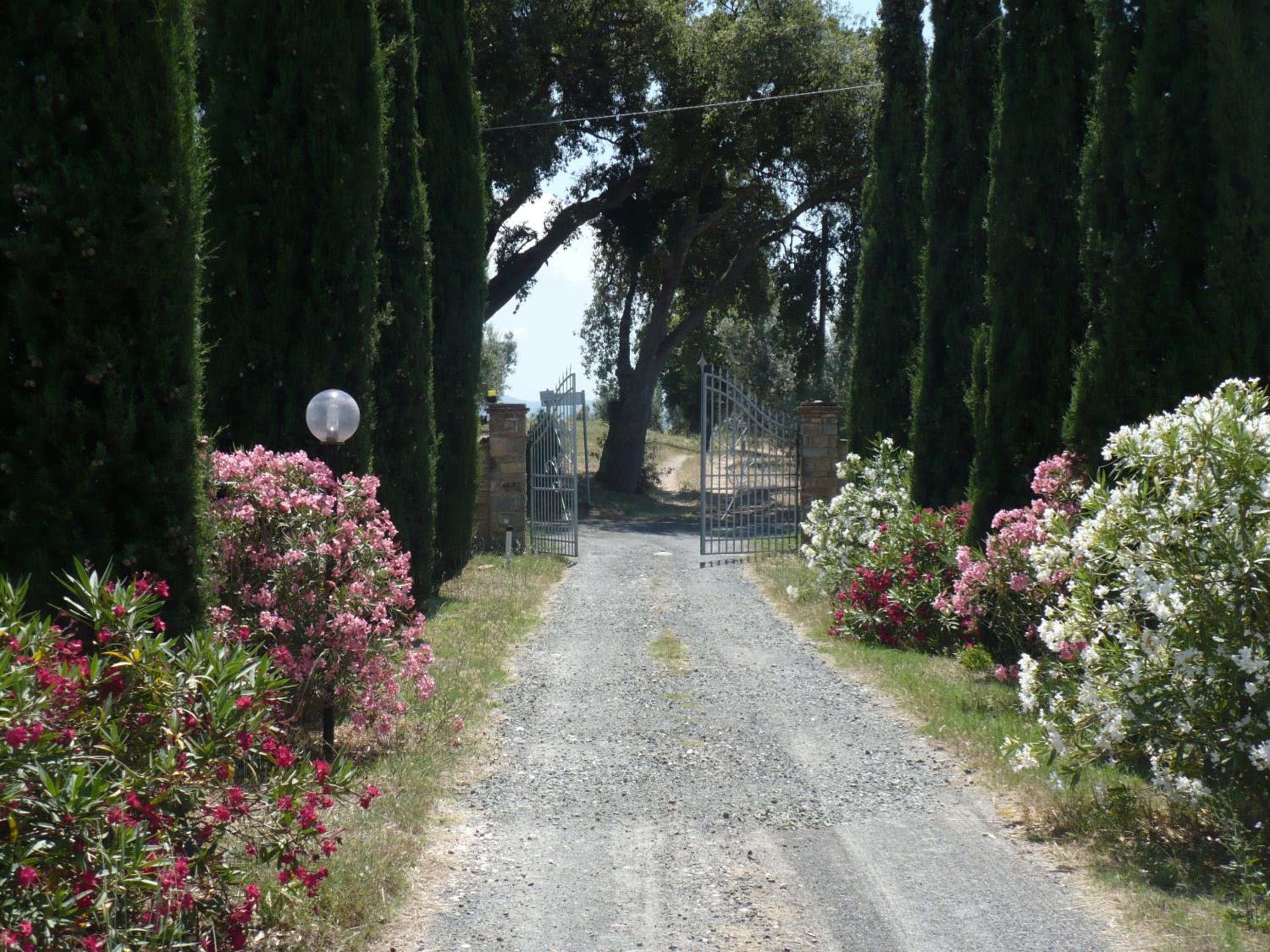 La Sassetta view 2