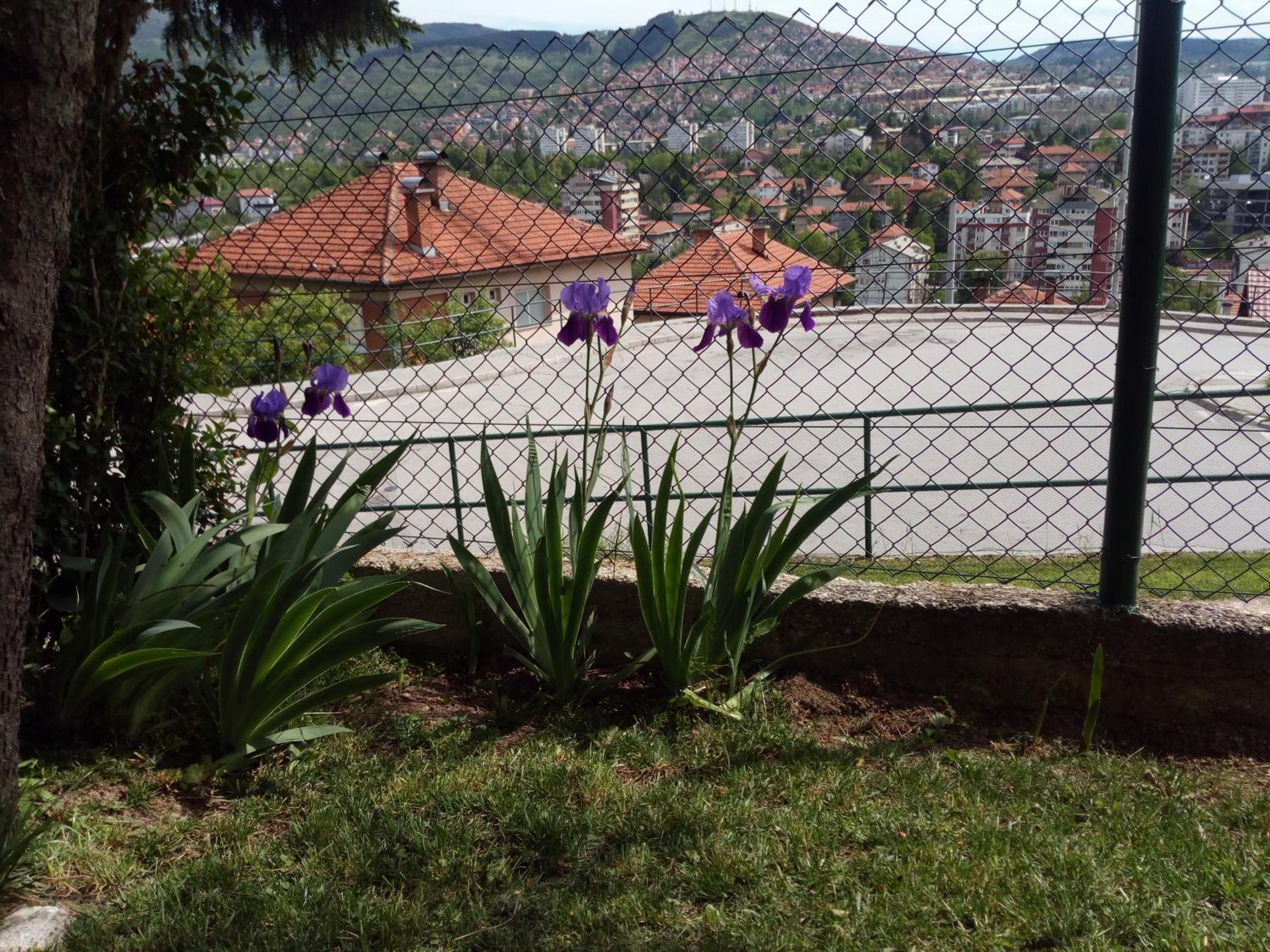 Lajlas Apartment