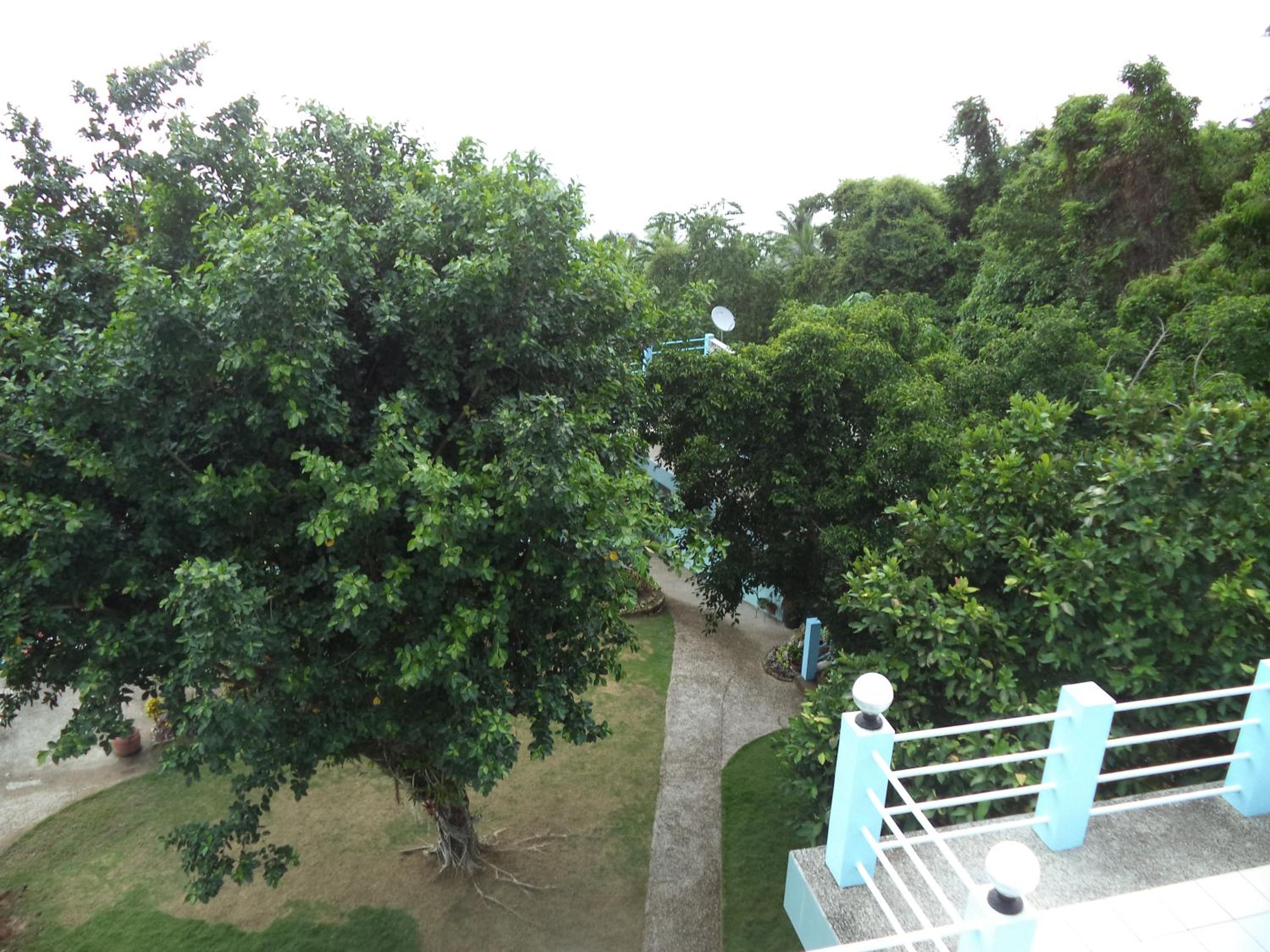 High Steps Pension