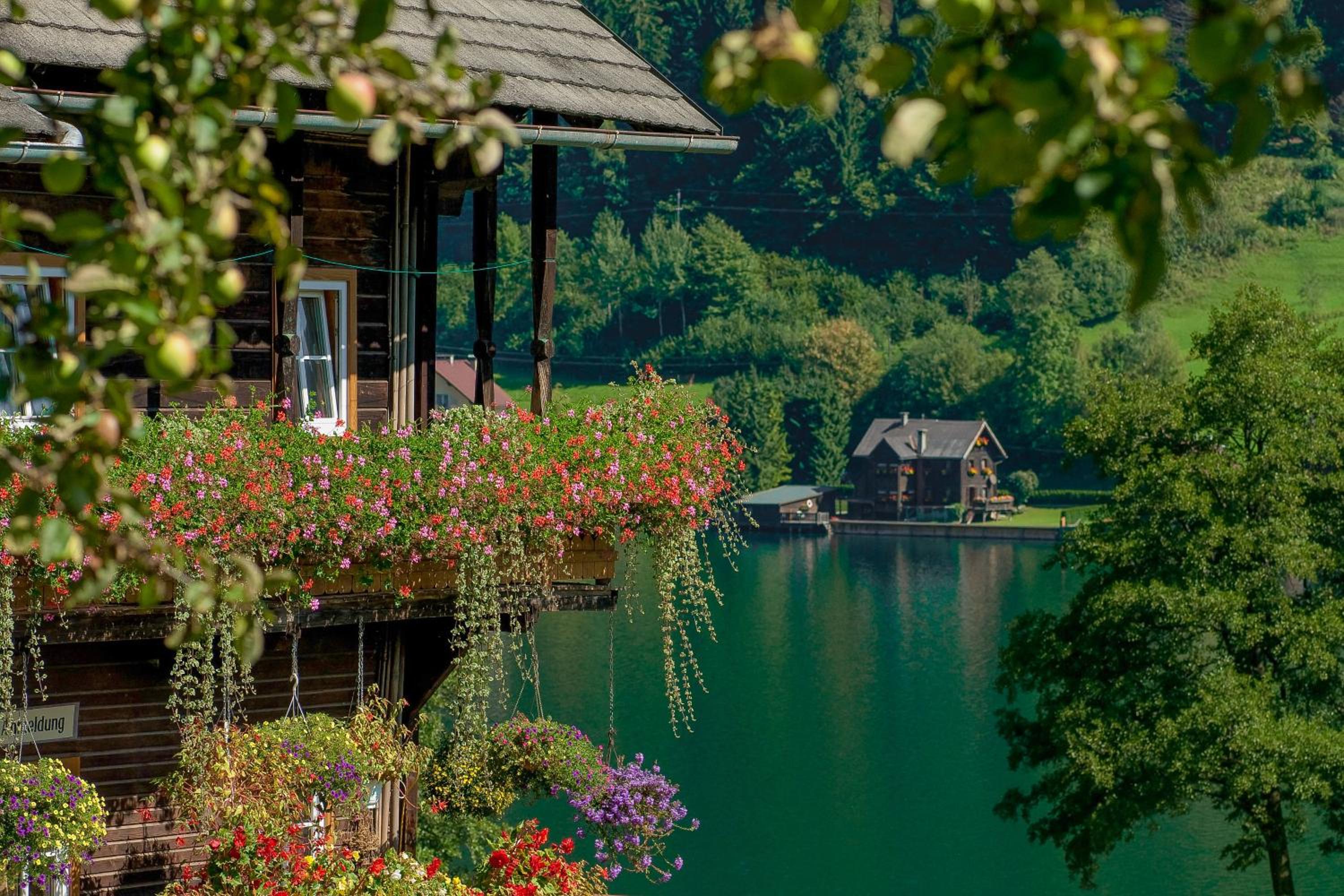 Pension Almhof