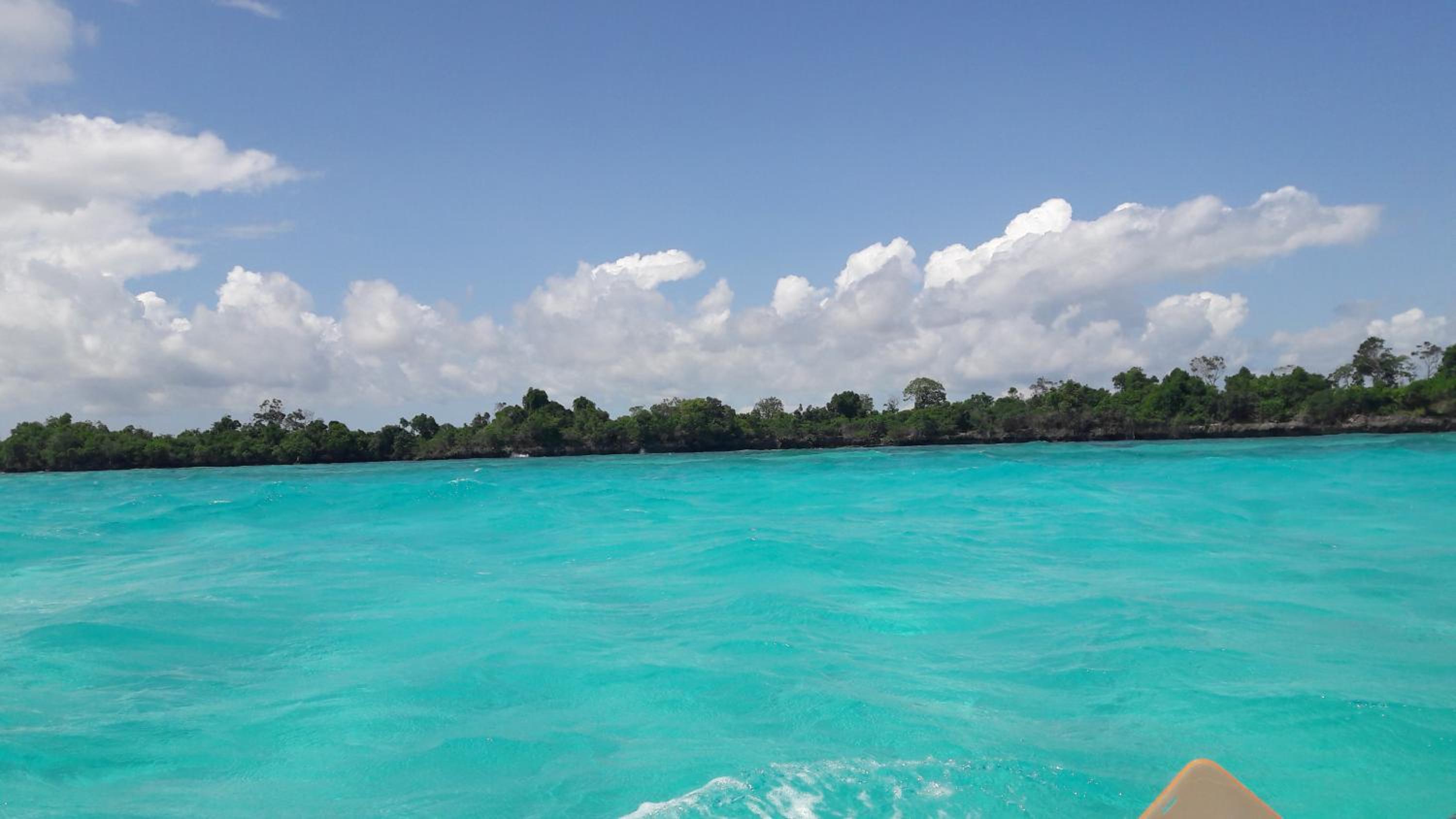 Gecko Nature Lodge Home of Swahili Divers the BEST dive center and Famous Gecko Restaurant