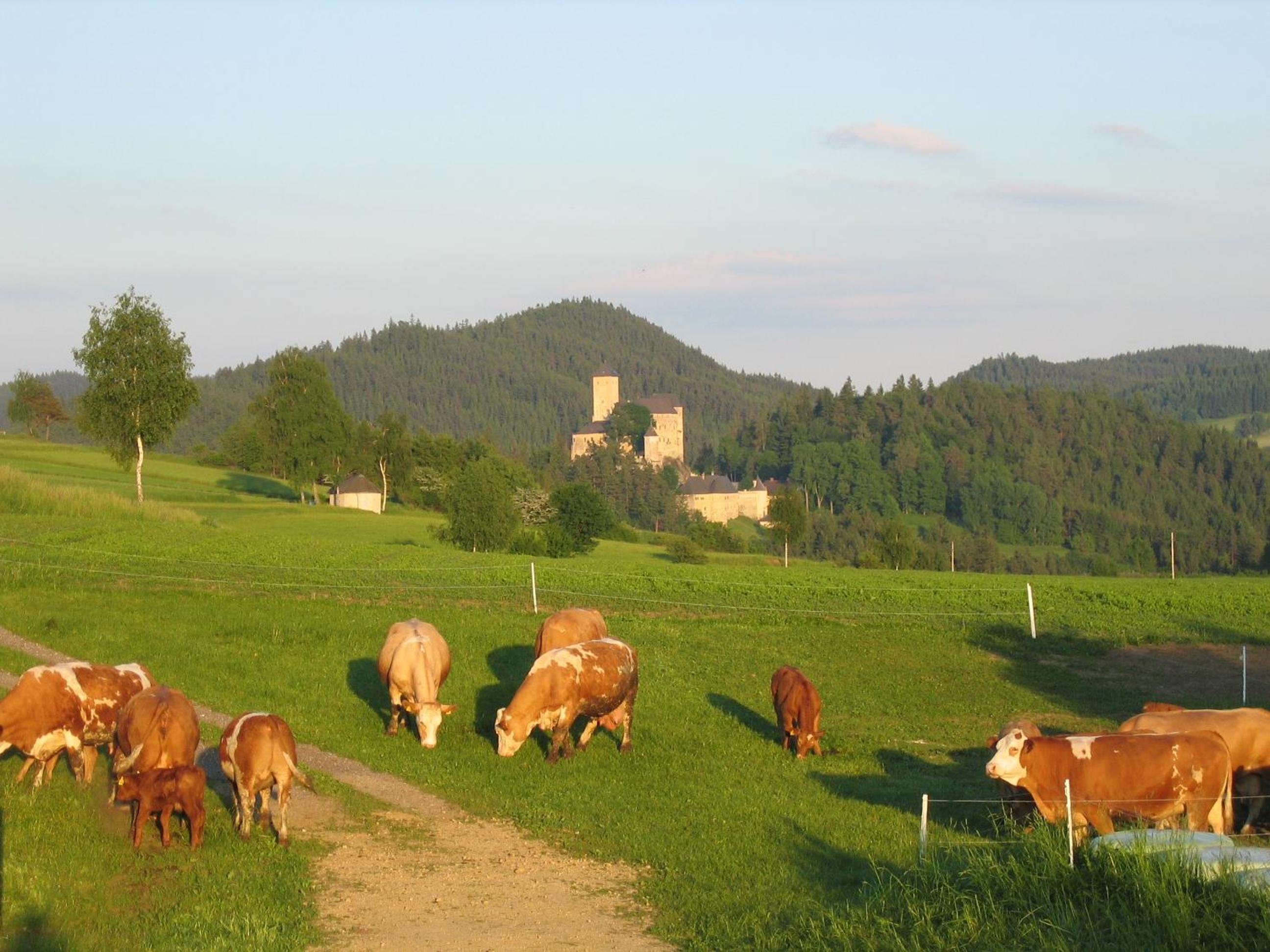 Ferienhof Stanzl