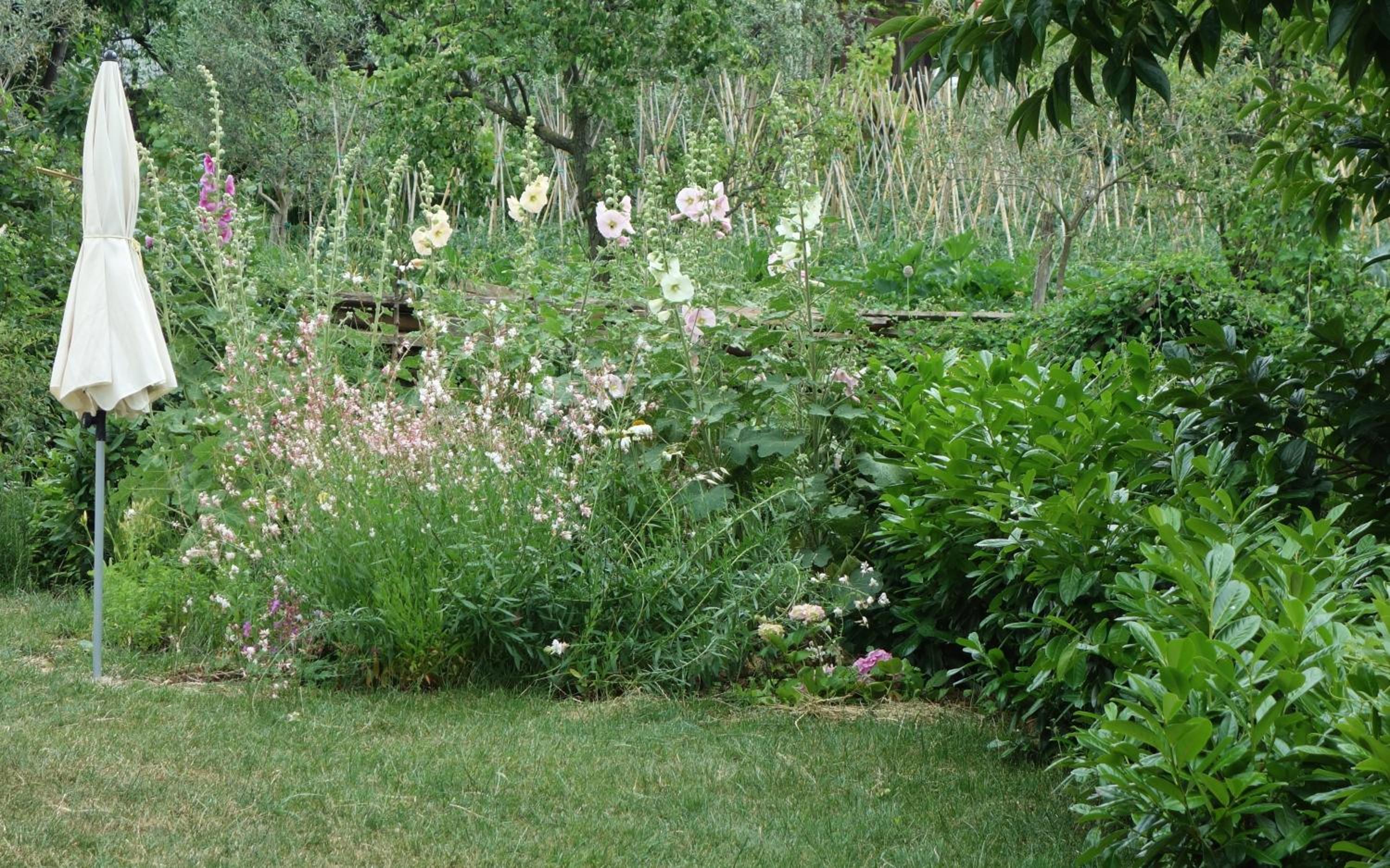 Photo 29