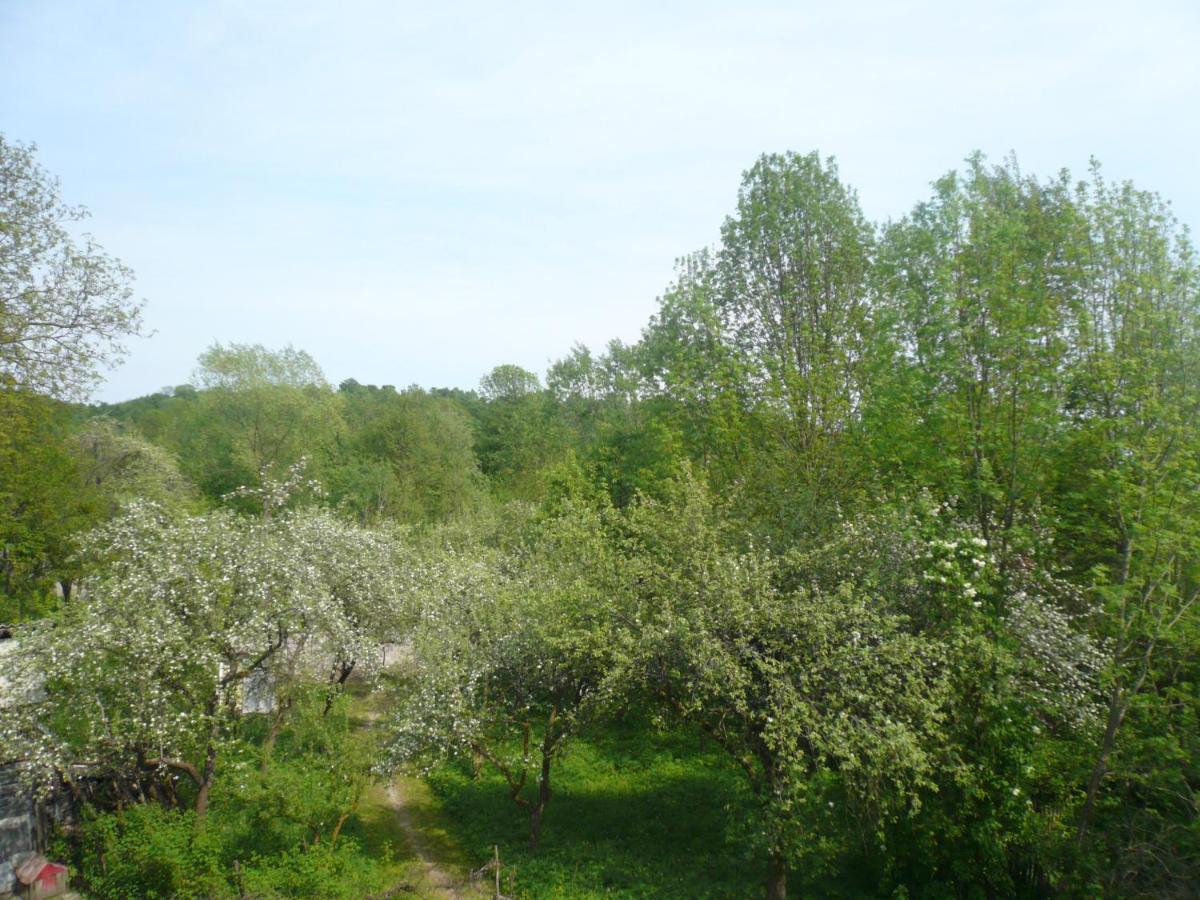 Photo 30