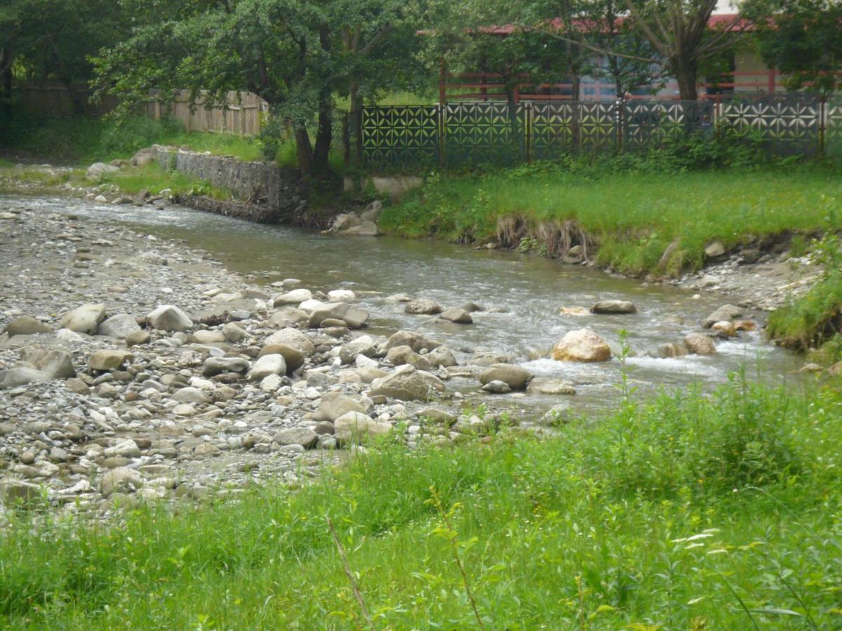 Photo 31