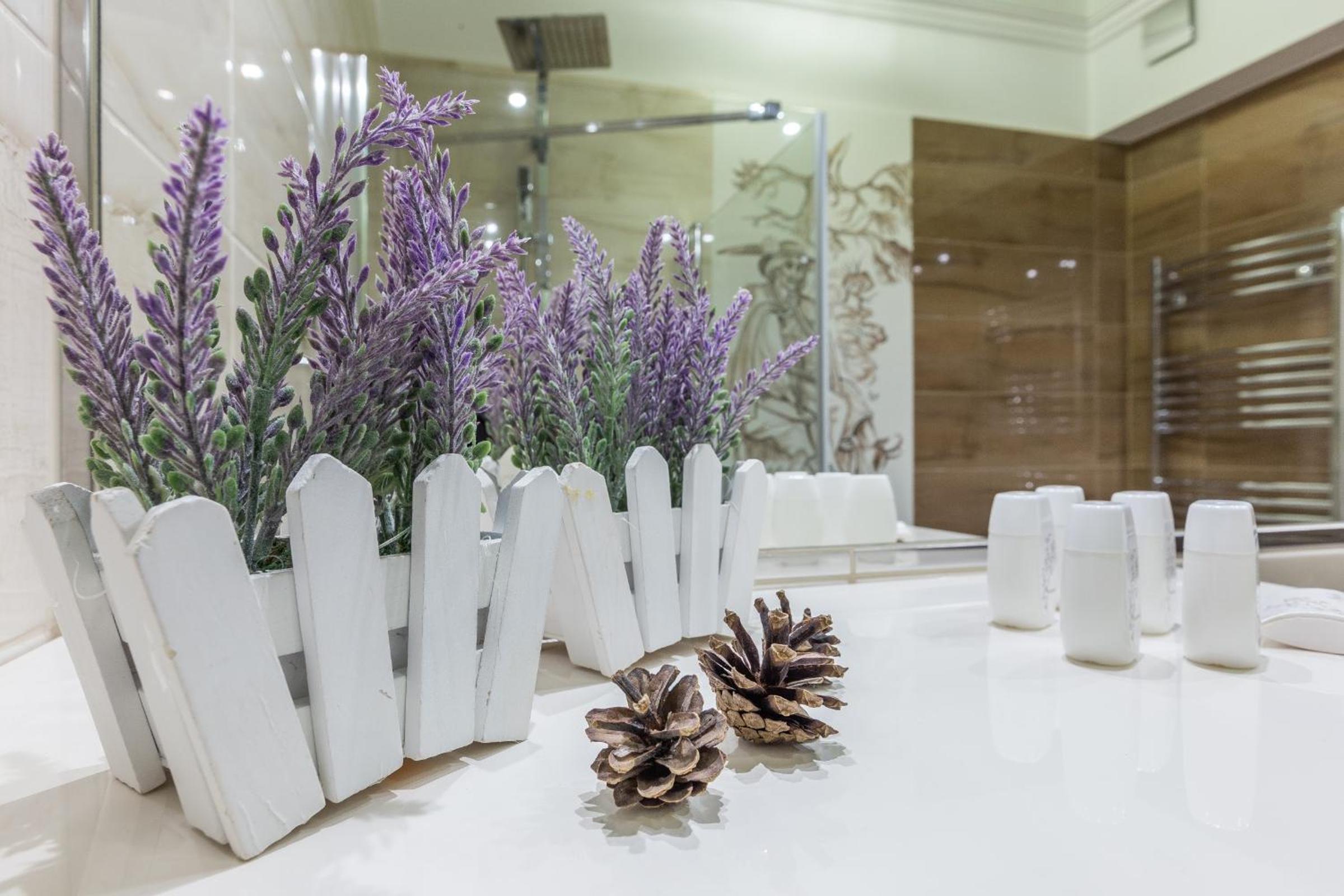 Zakopiańskie Tarasy SPA, Odkryj-Zakopane