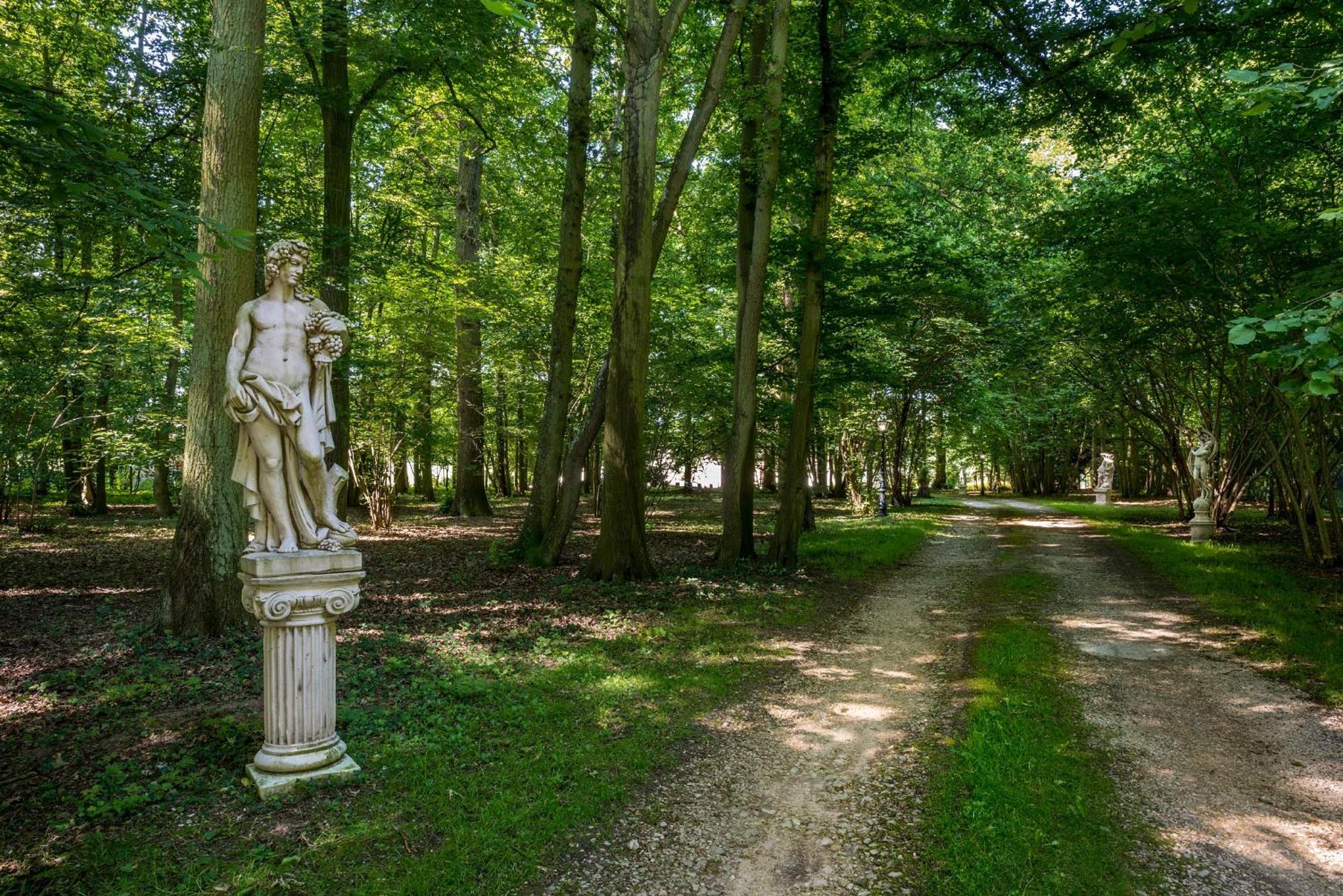 Domaine du Bois des Anges