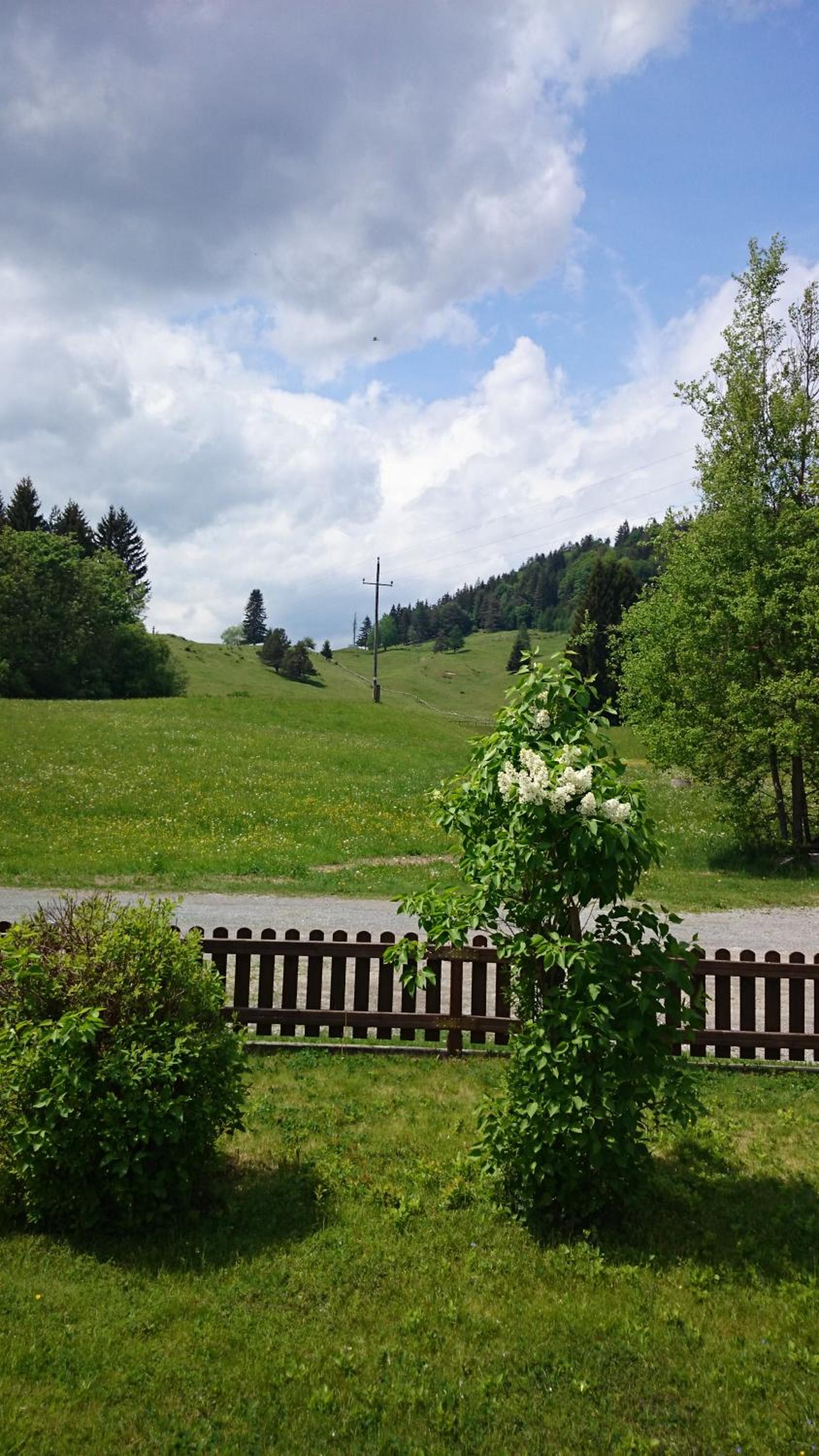 Haus Alpina view 4