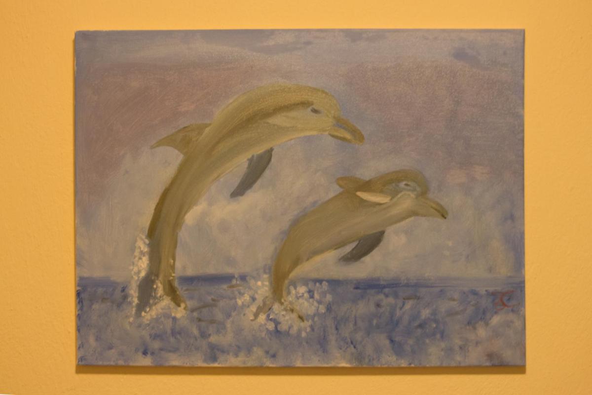 Photo 7