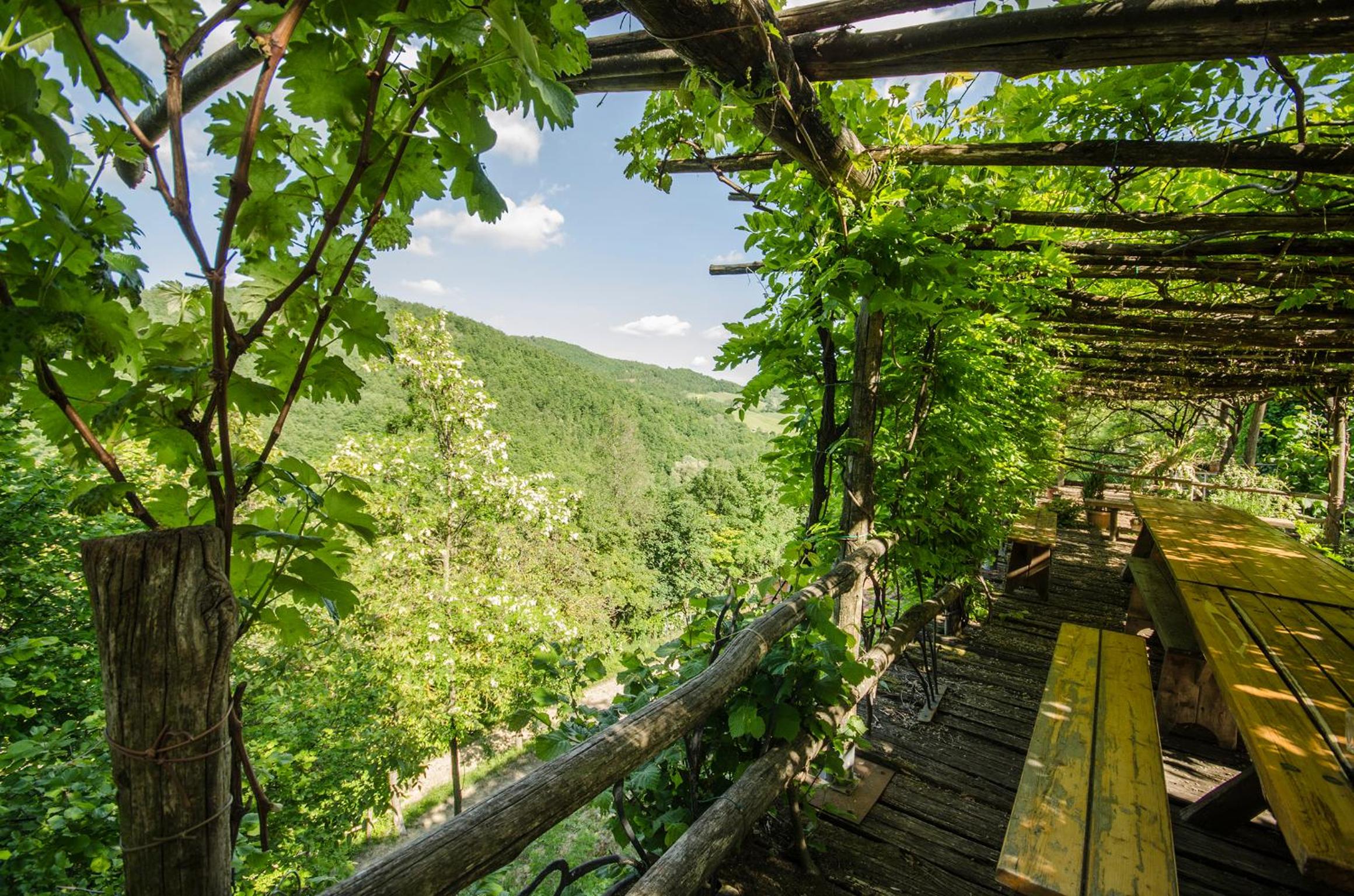 Circolo dell'Orso view 5