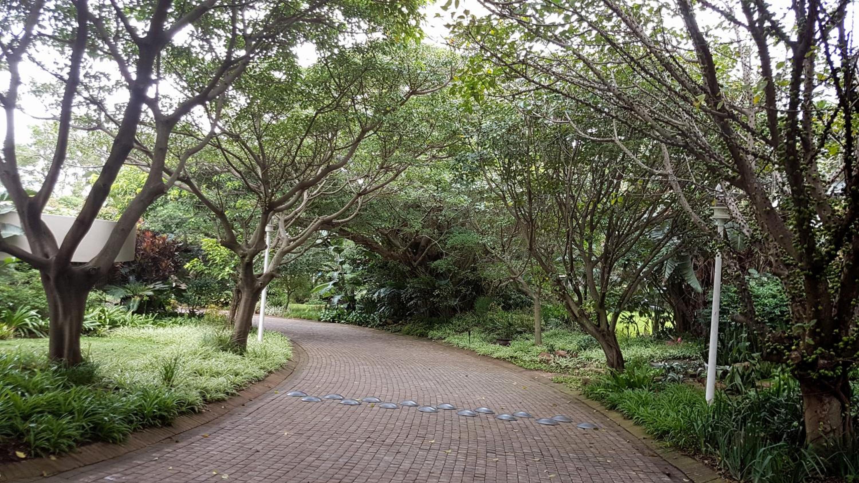 703 Oyster Schelles - by Stay in Umhlanga