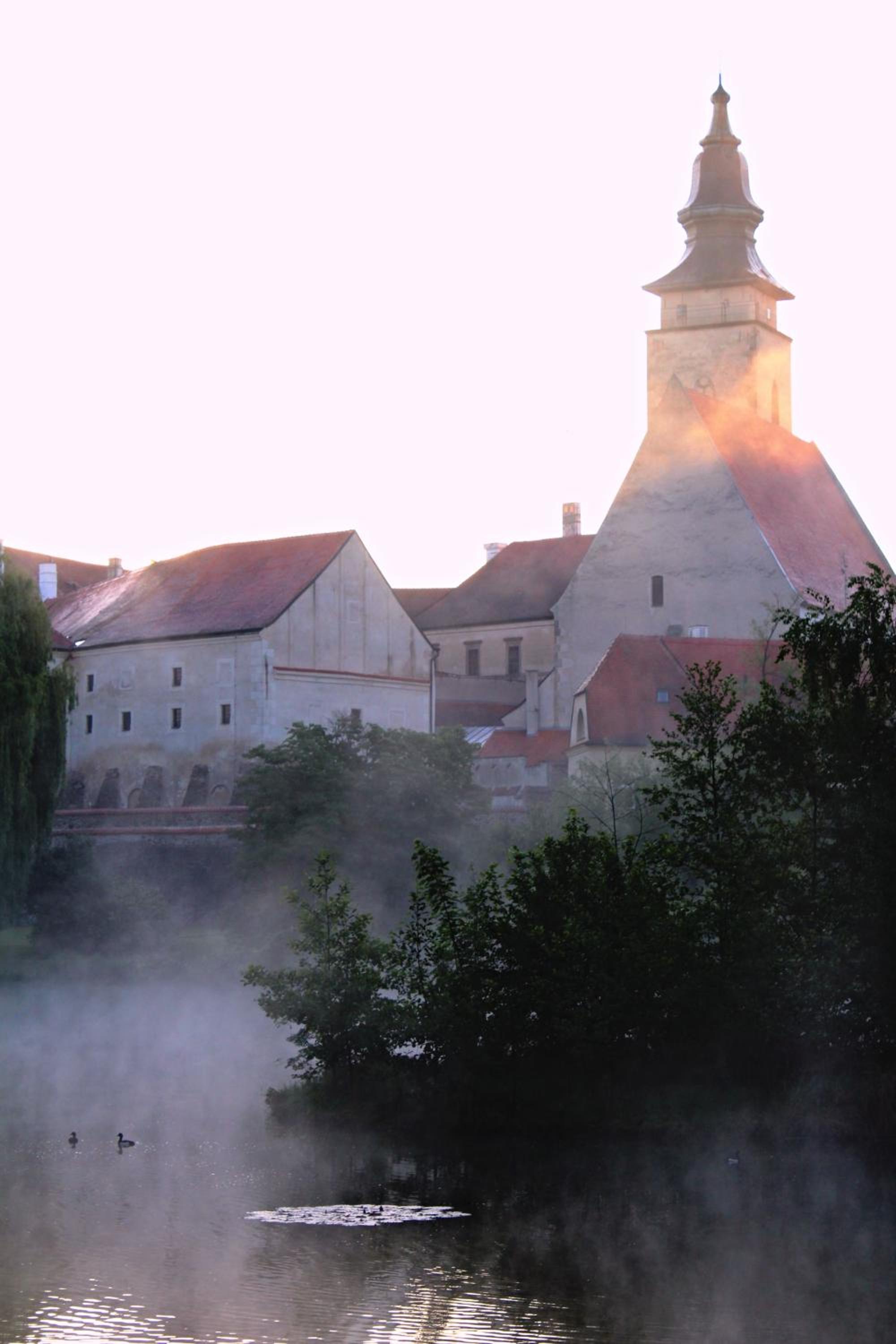 Photo 24