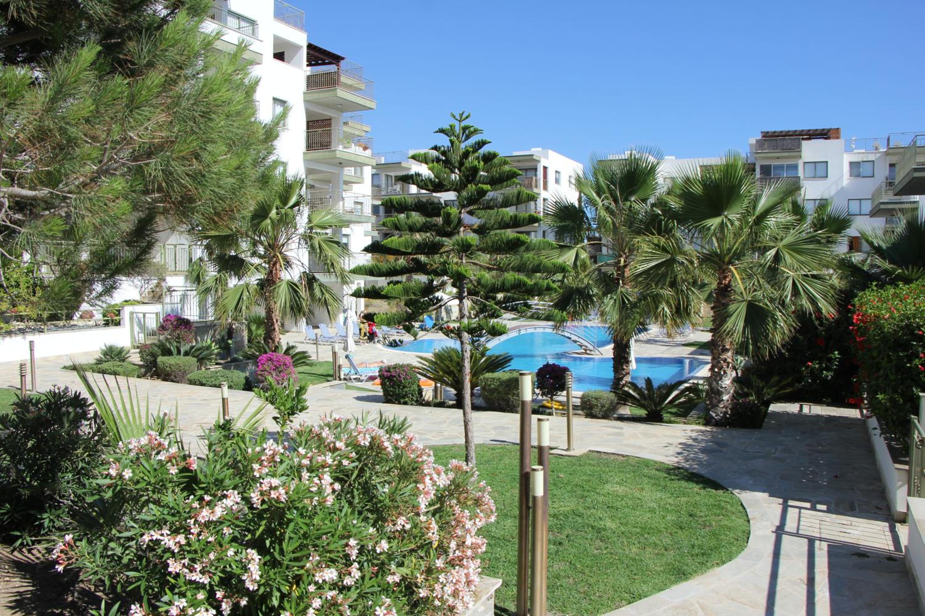 Danaos Pool View
