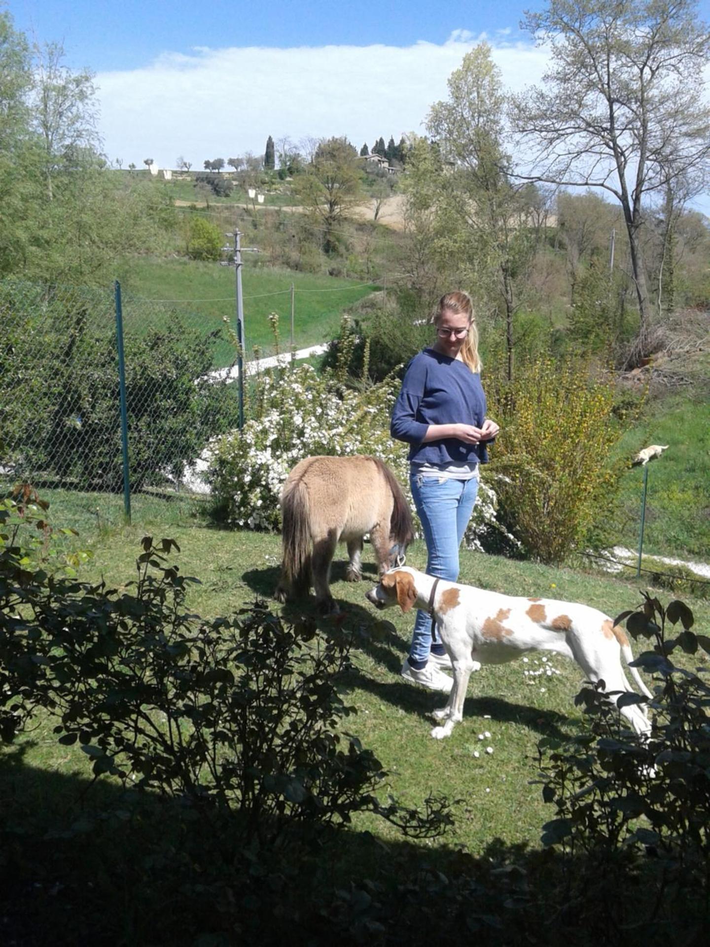 Photo 34