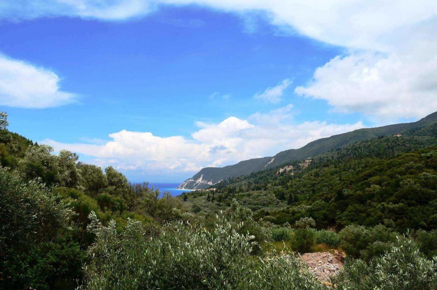Photo 44
