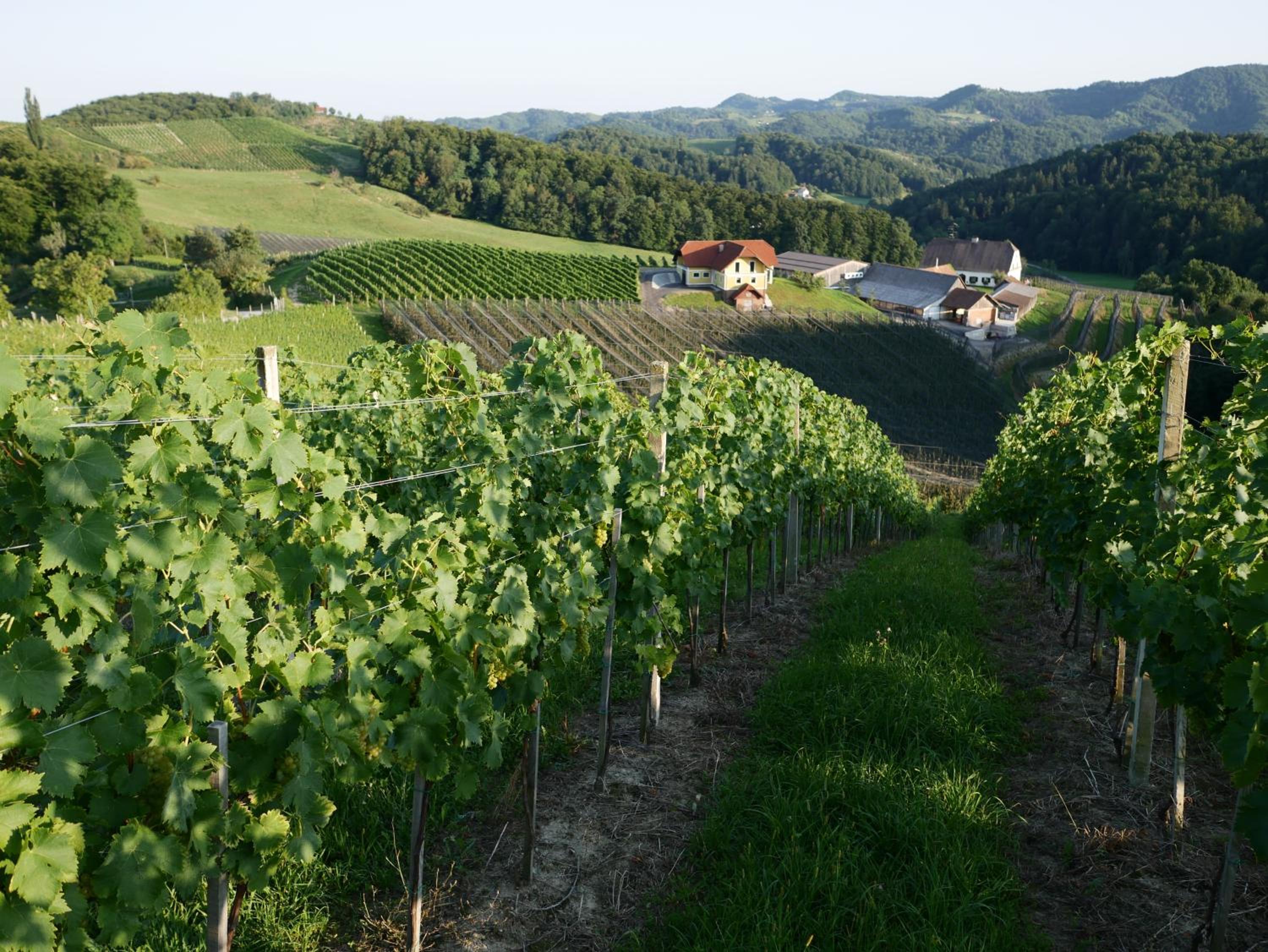 Holiday Home Winzerhaus Eva