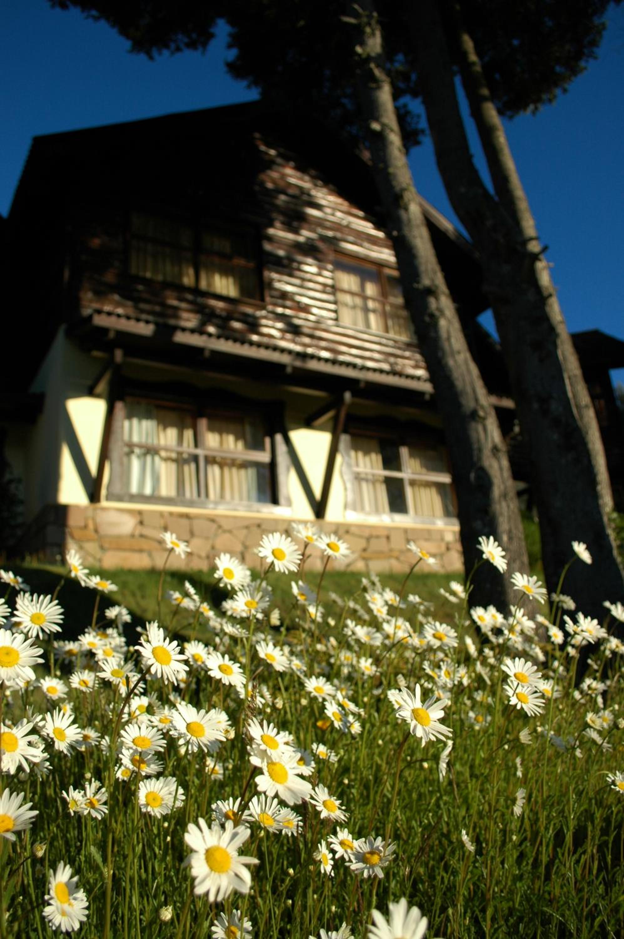 Hosteria Belvedere