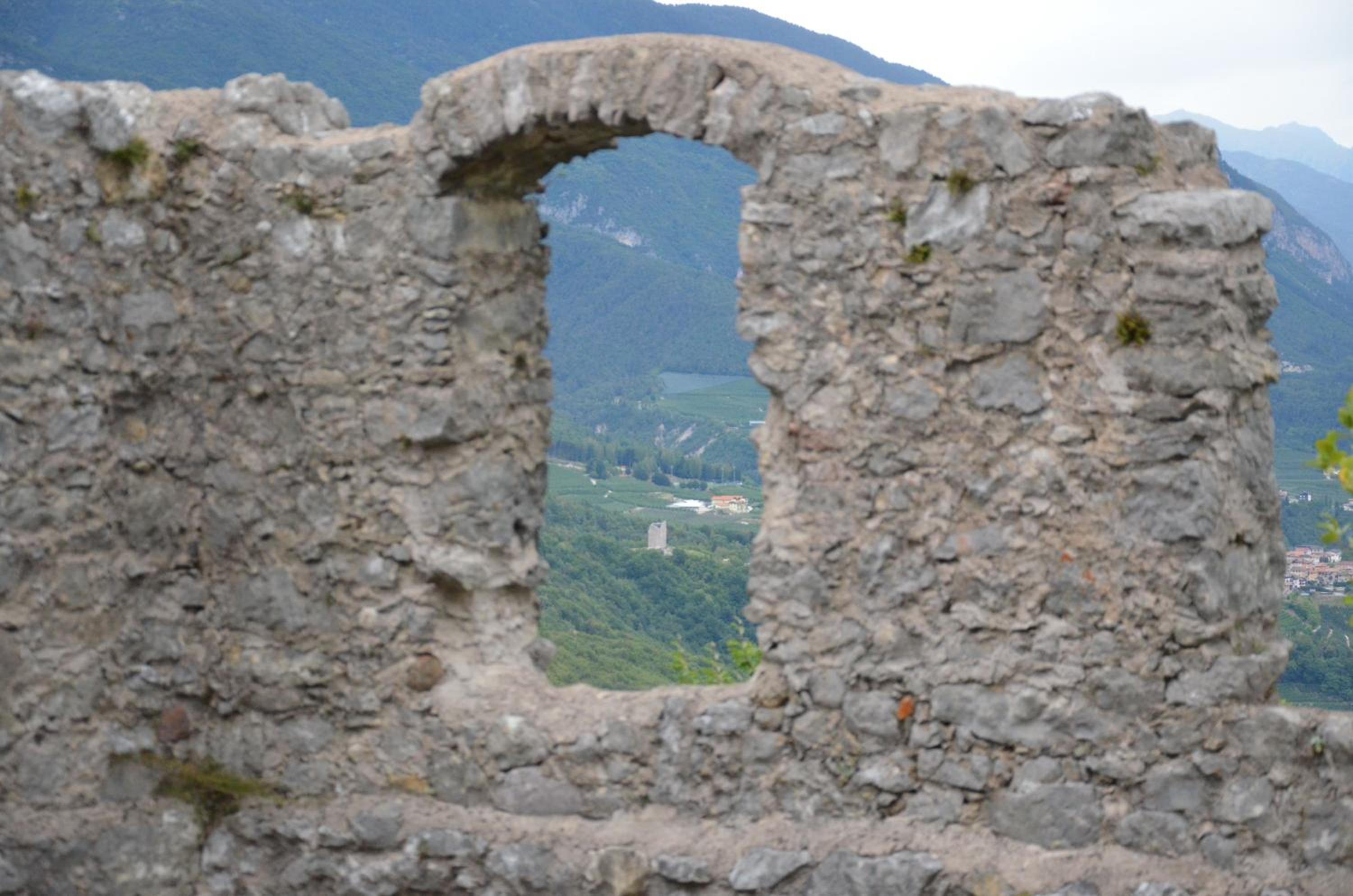 Al Trifoglio