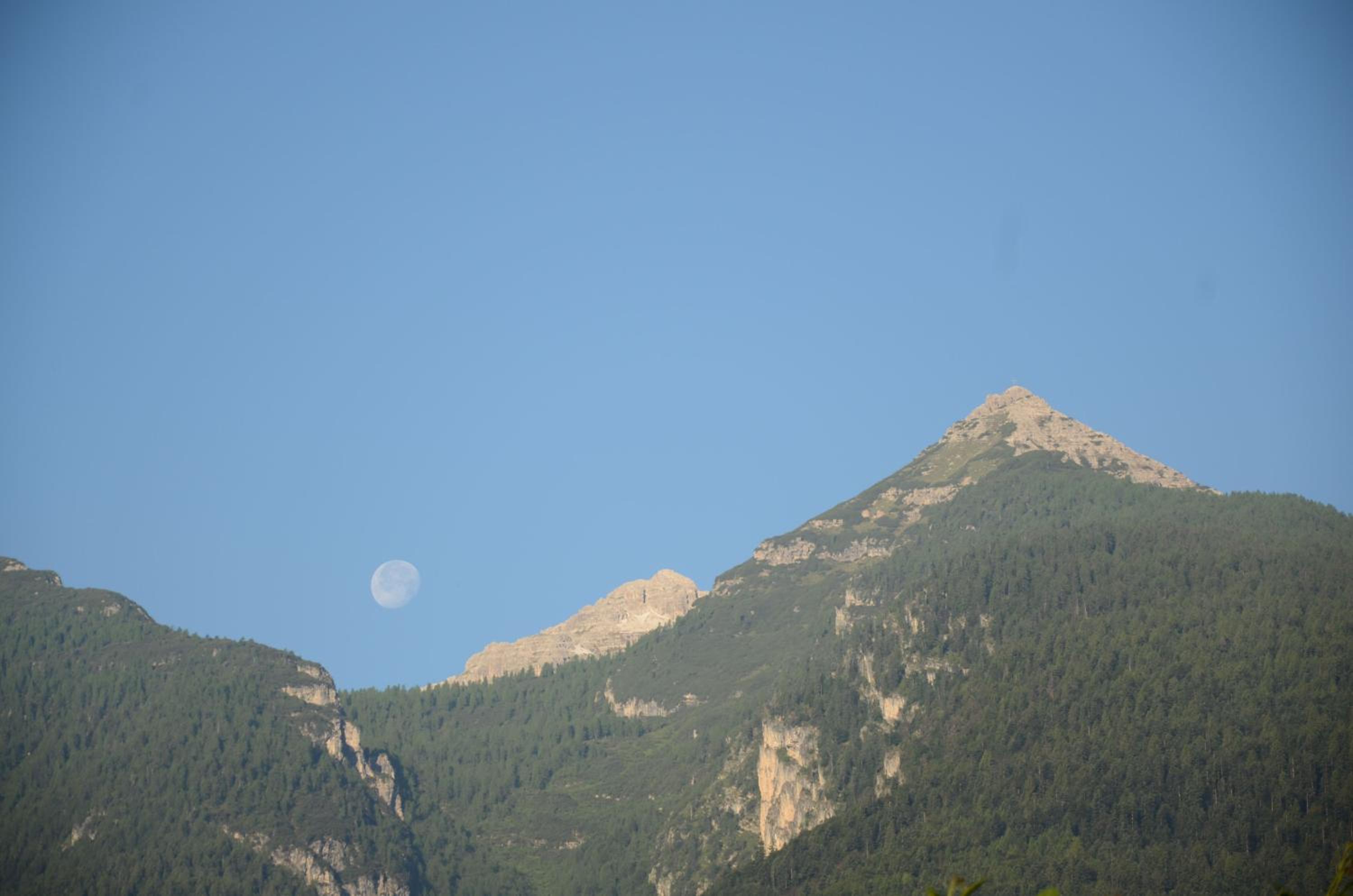 Al Trifoglio