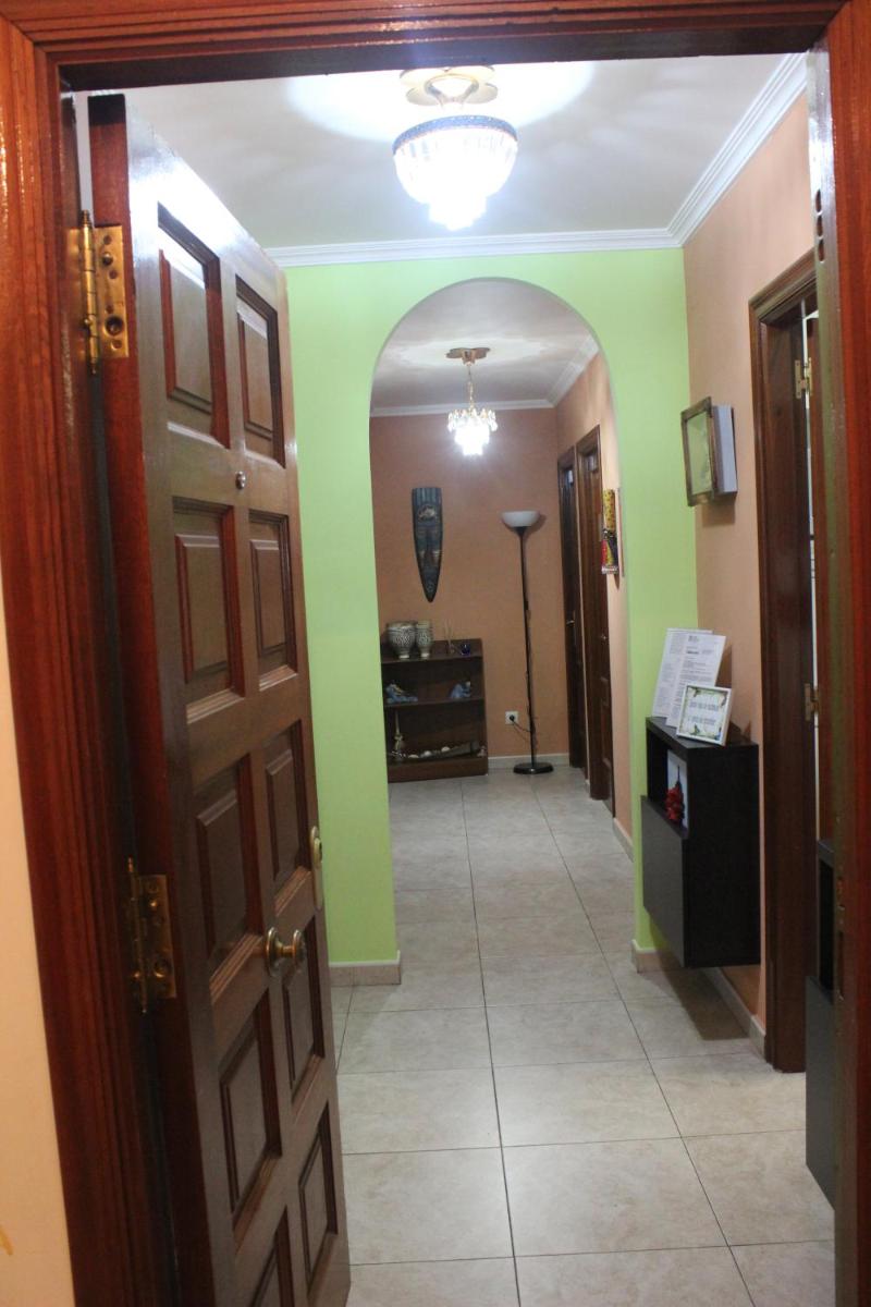Tximeleta Bidean photo 3