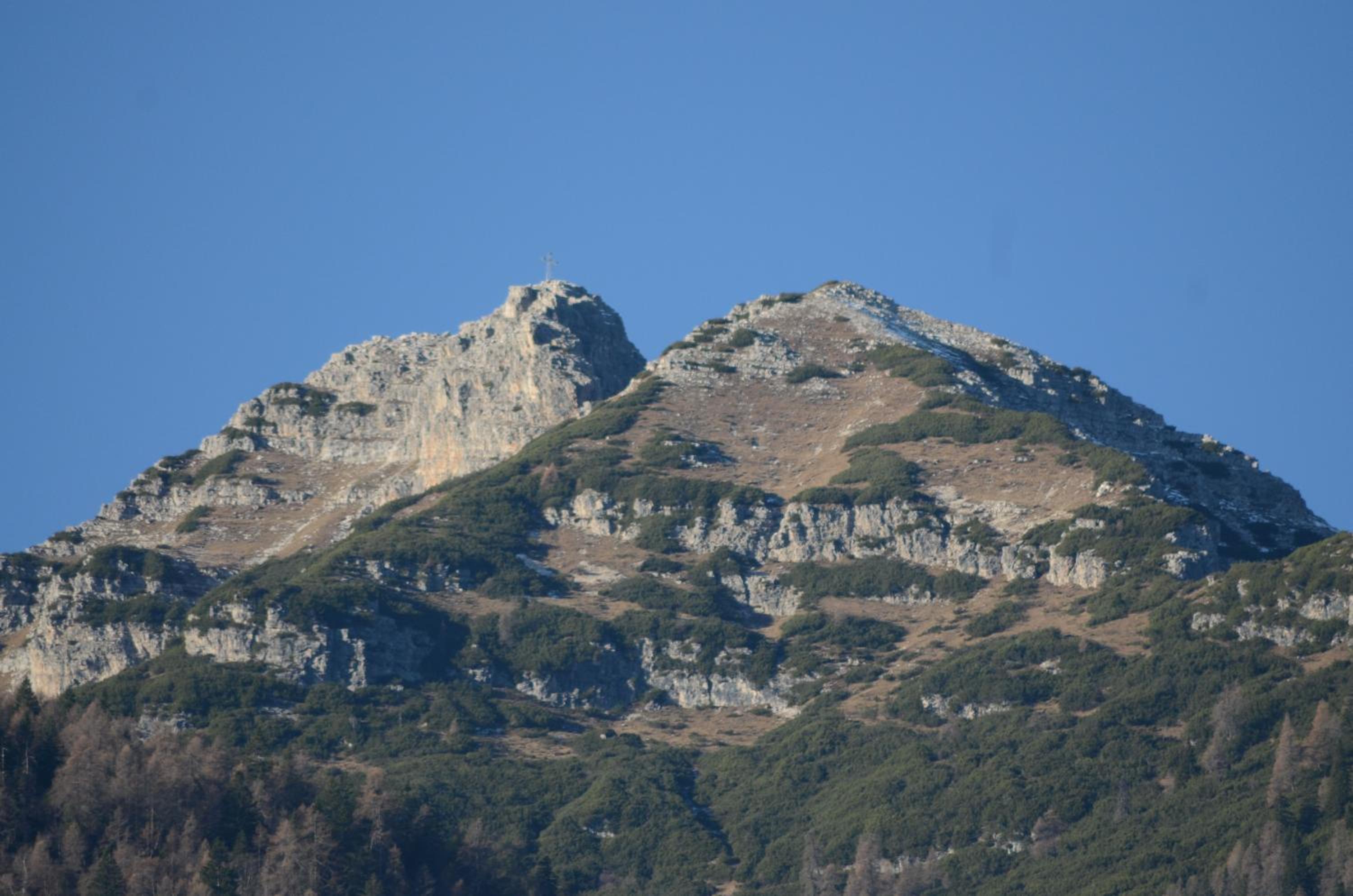 Al Trifoglio