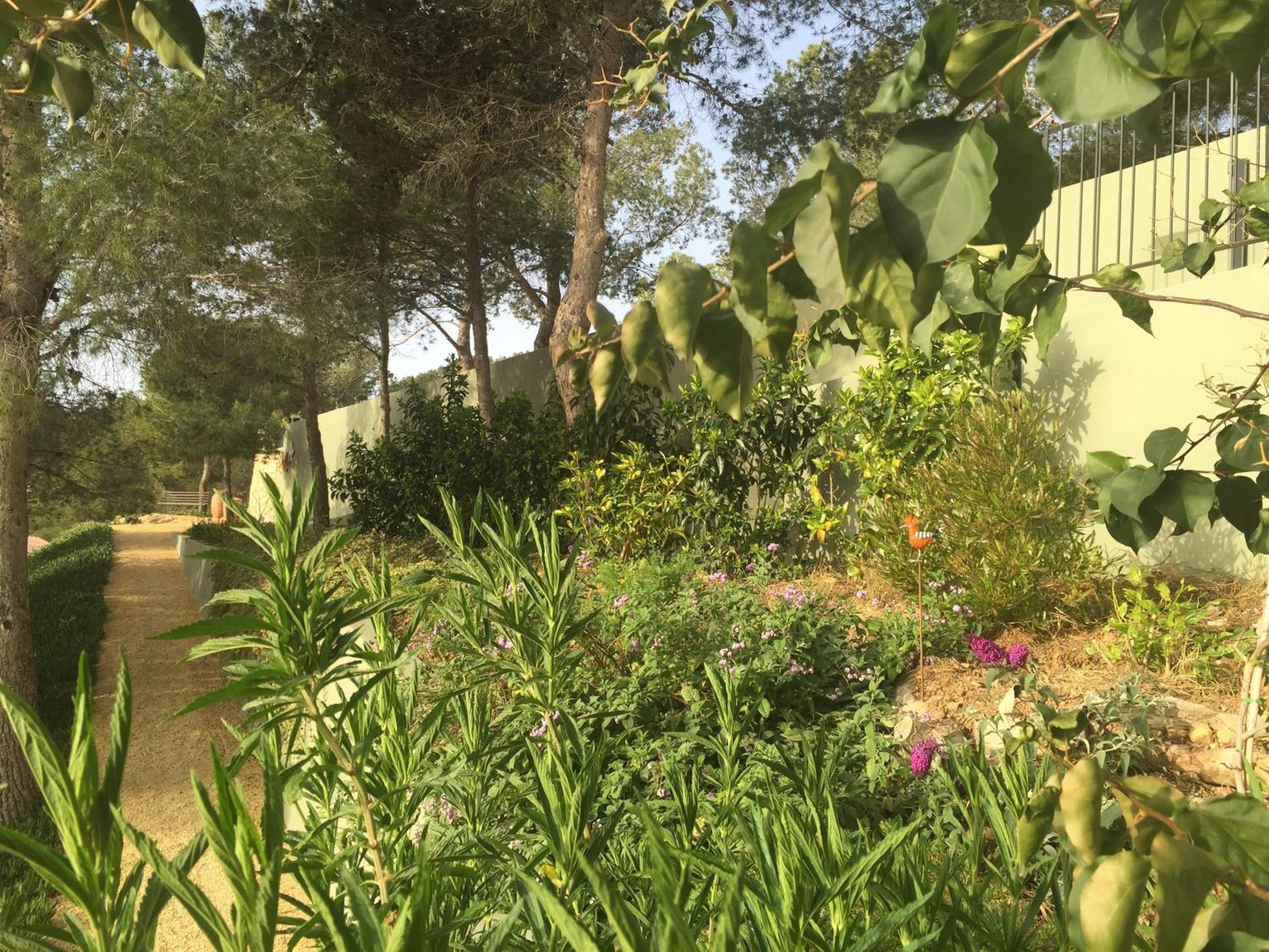 Photo 41