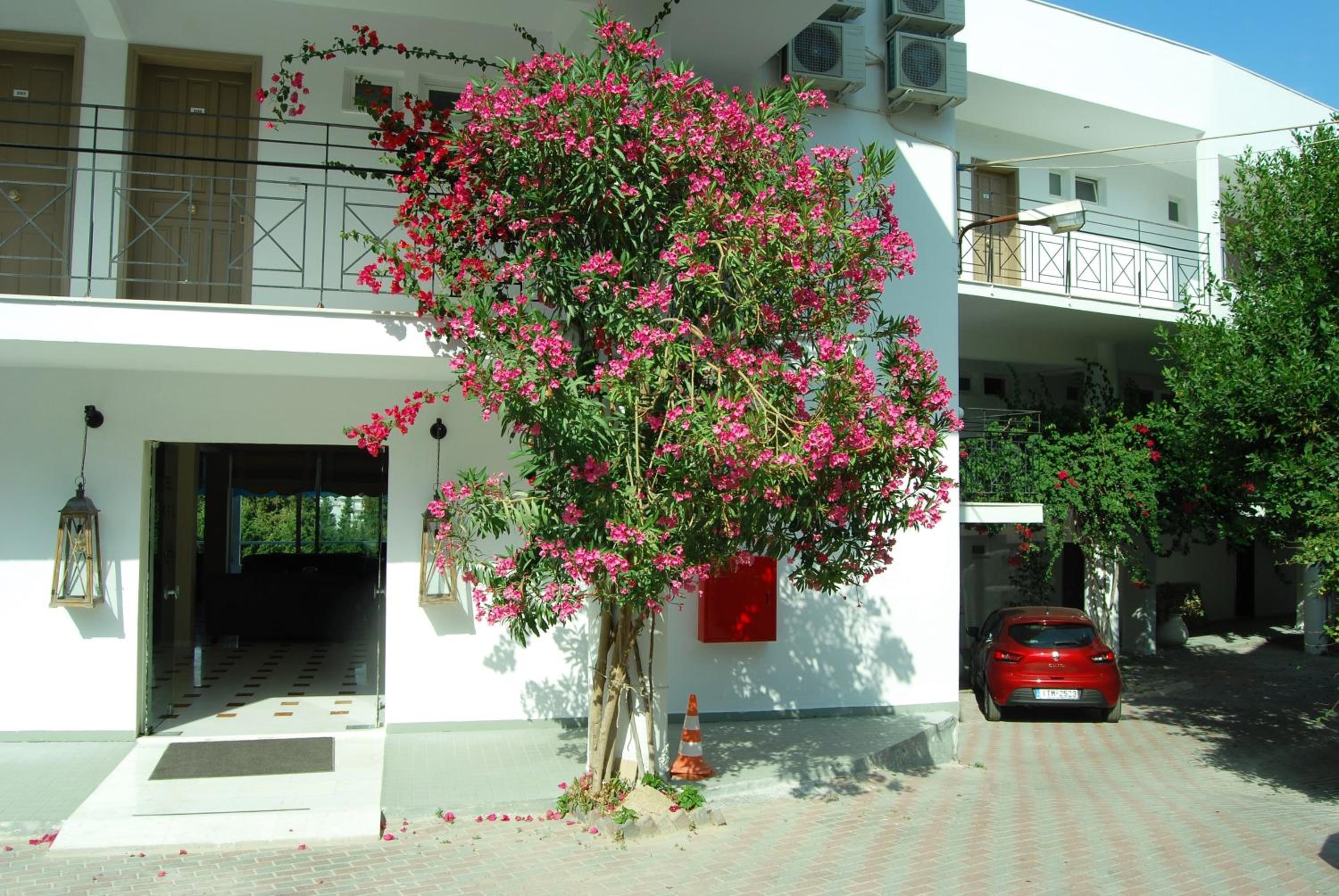 Asteria Hotel, photo 43