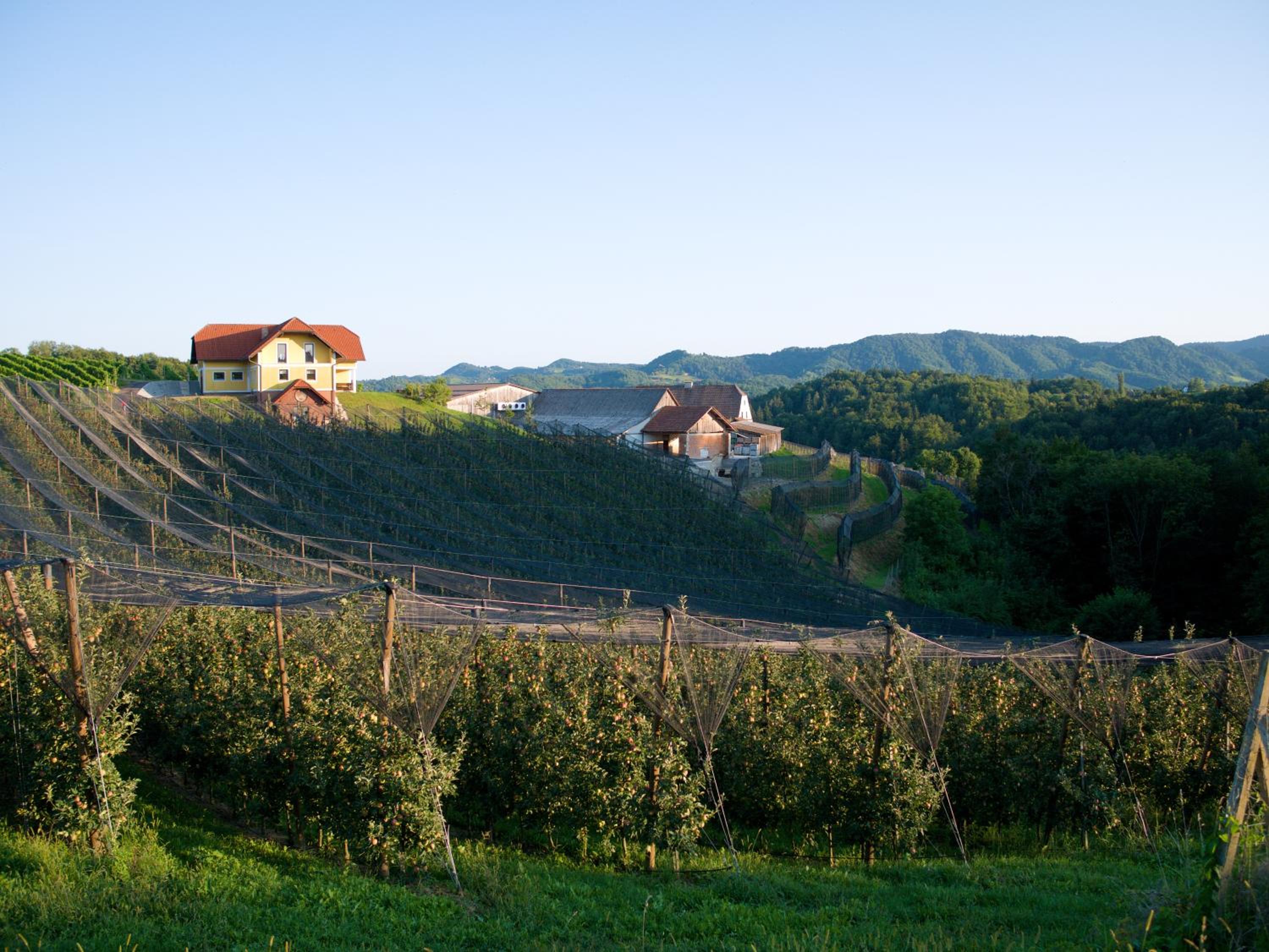 Holiday Home Winzerhaus Eva