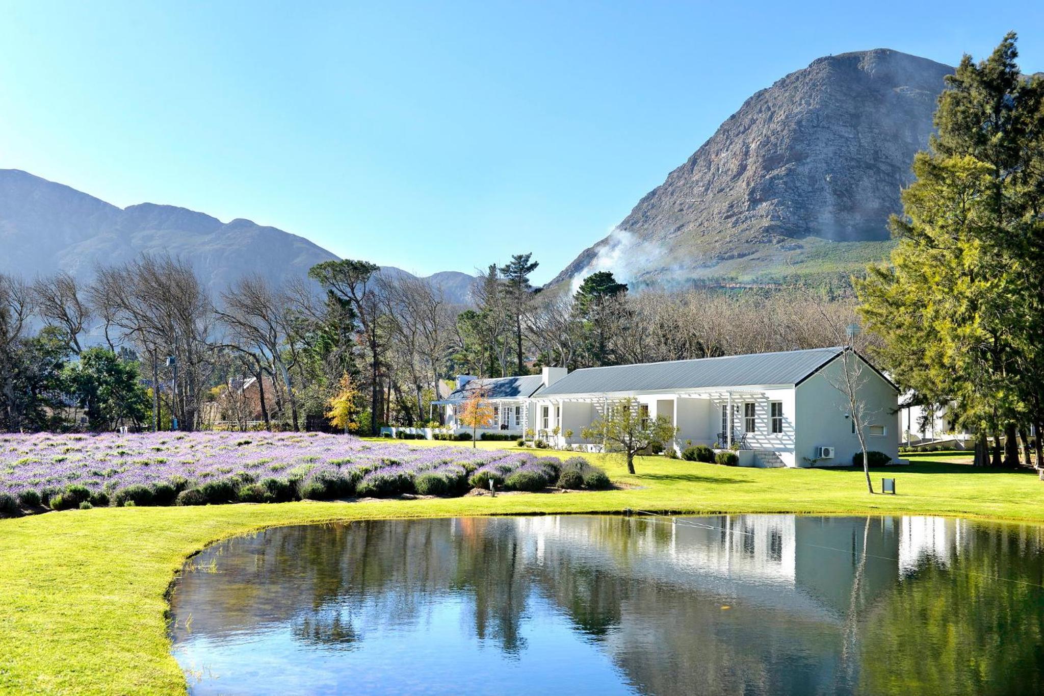 Lavender Farm Boutique Guest House