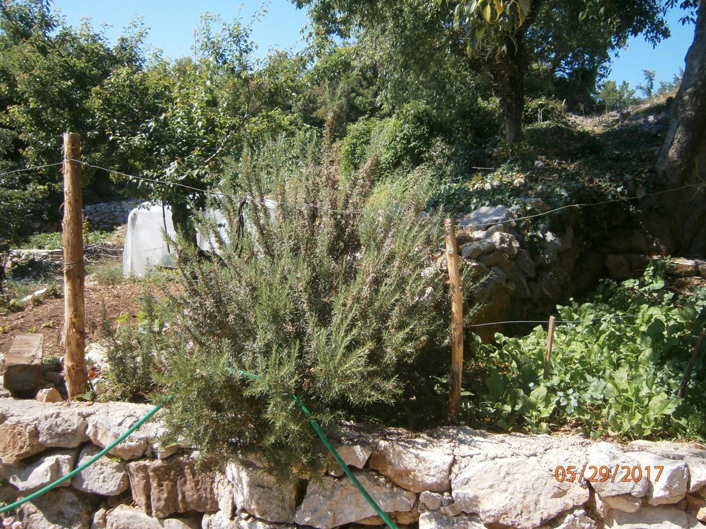 Photo 37