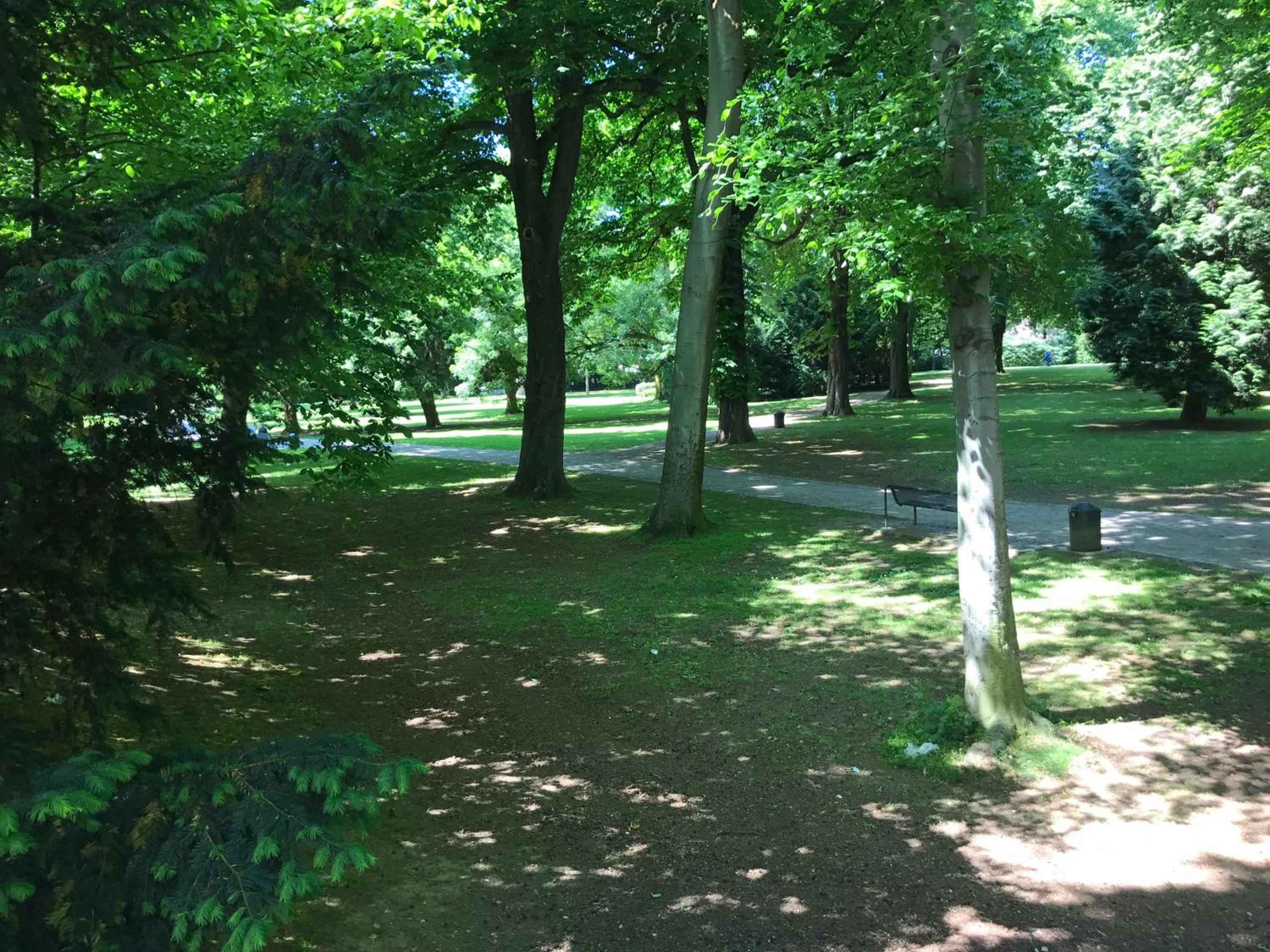 Photo 8