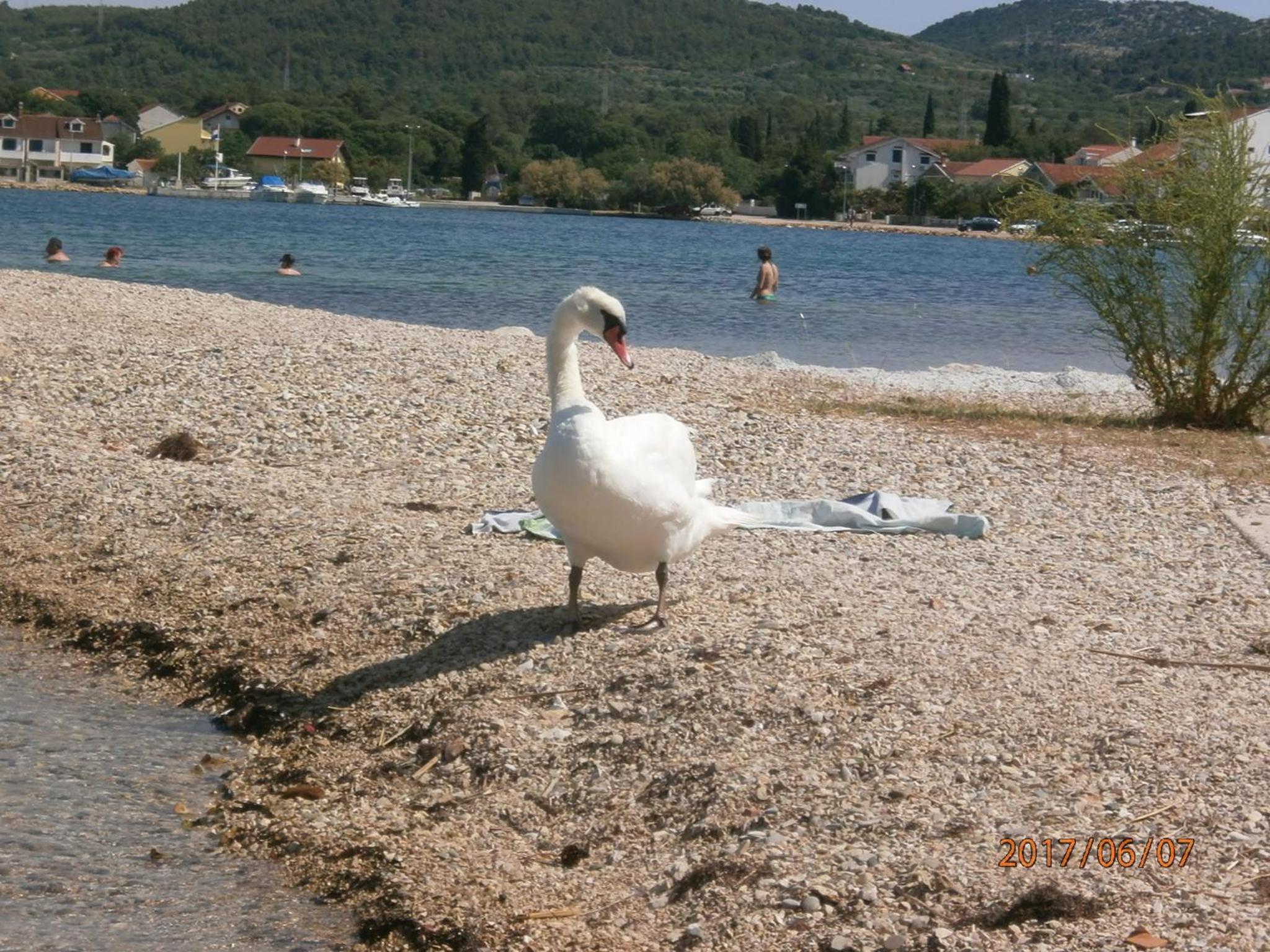 Photo 26