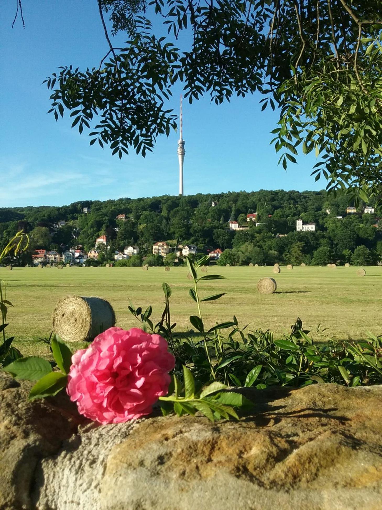 Alttolkewitzer Ferien- & Privatzimmer Mrosk Dresden