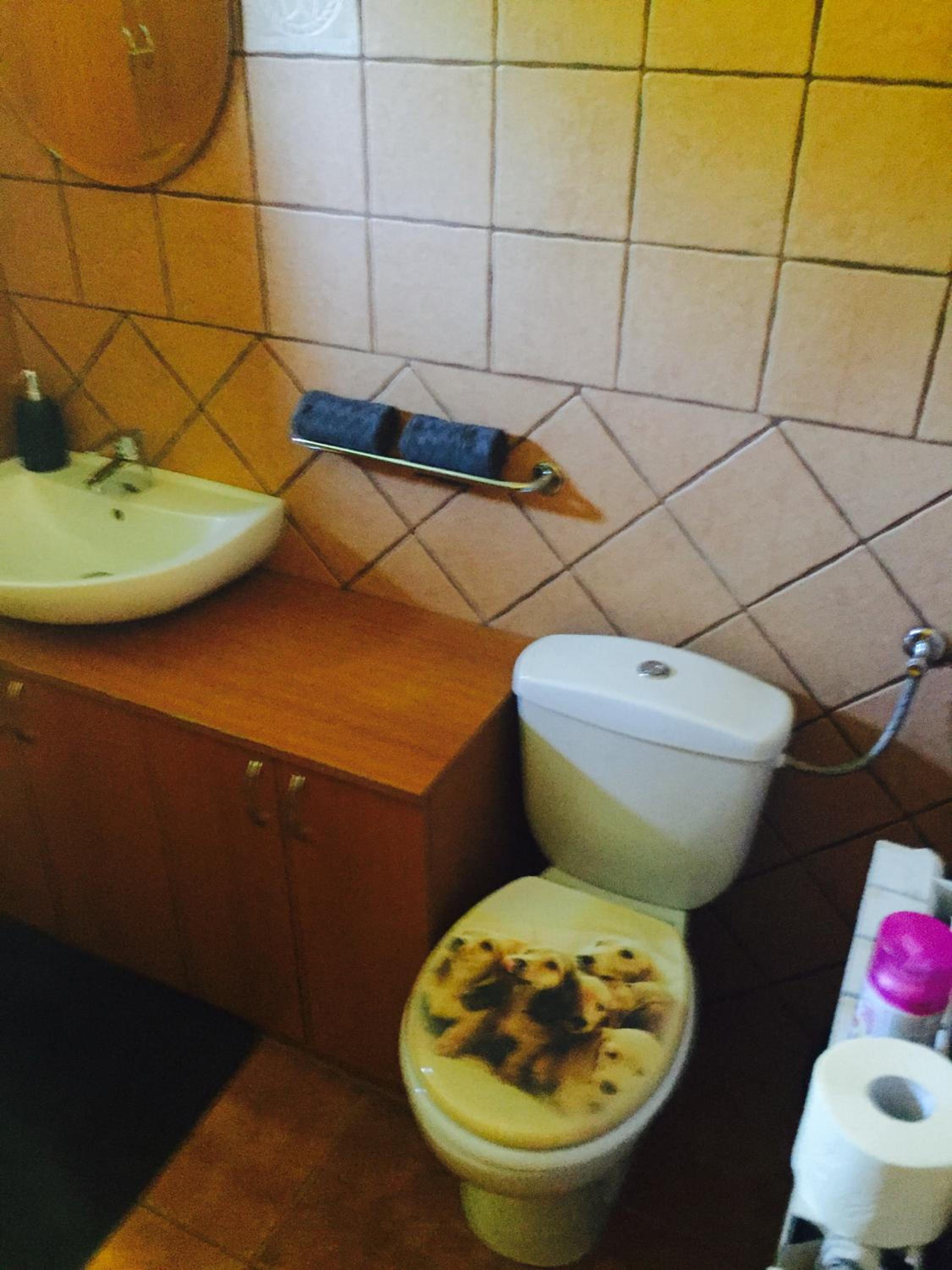 Photo 51