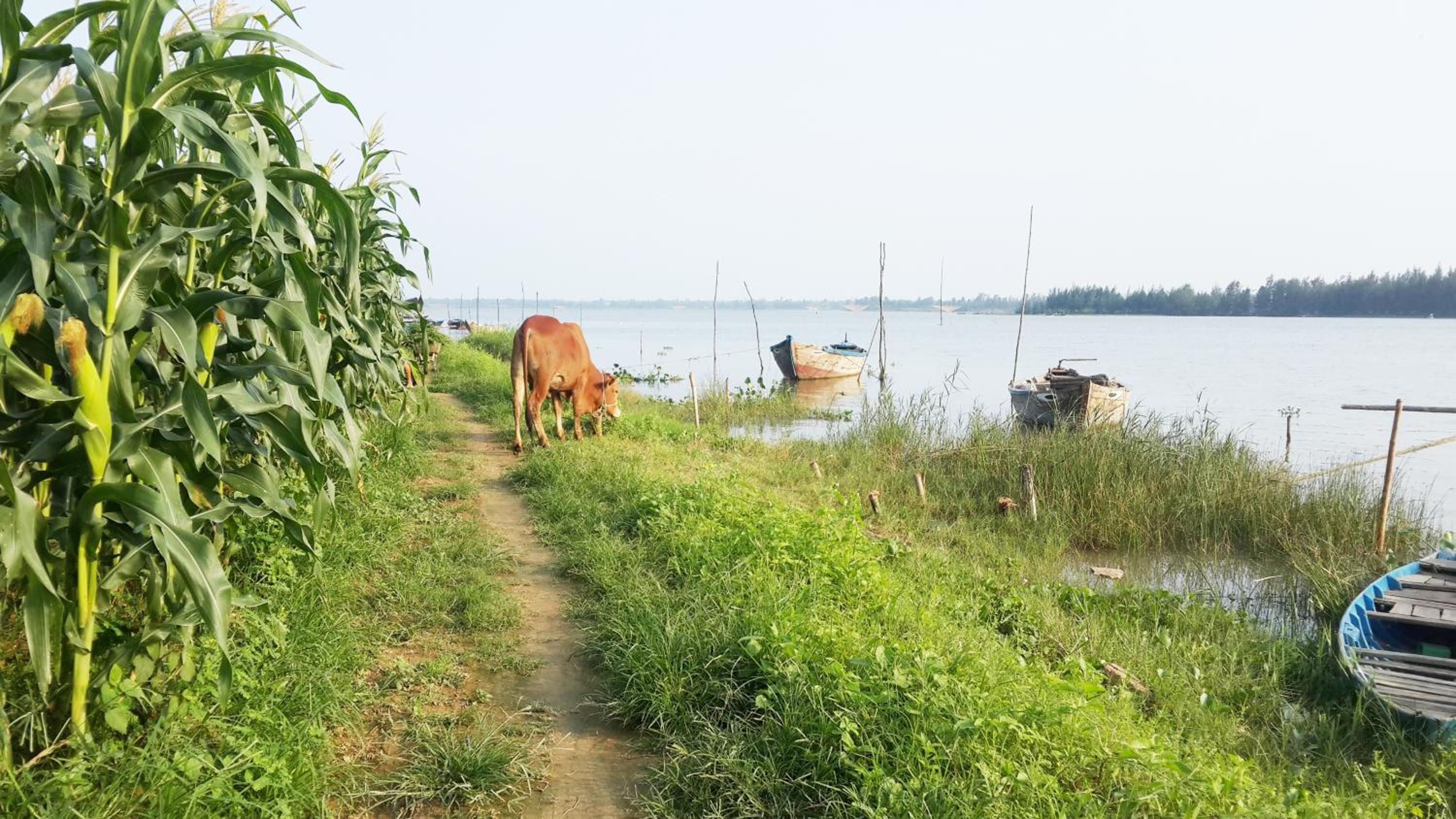 Photo 40