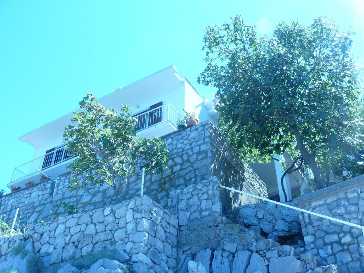 Photo 38