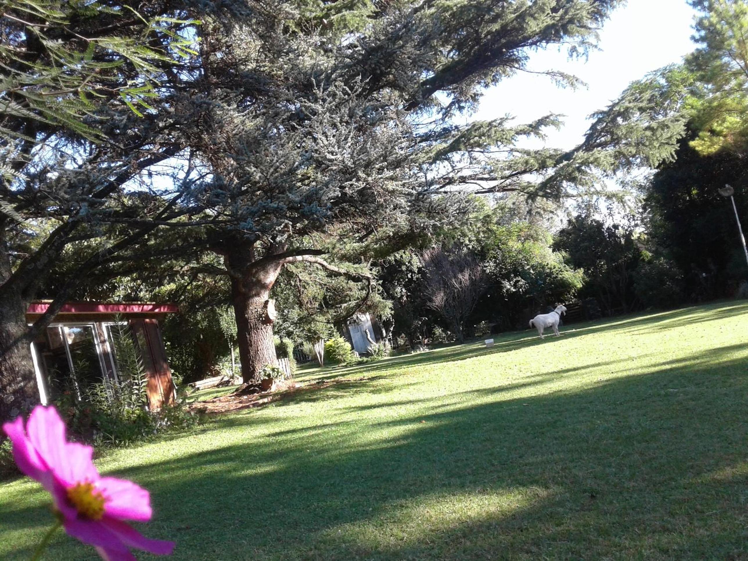 Casita de Piedra B&B