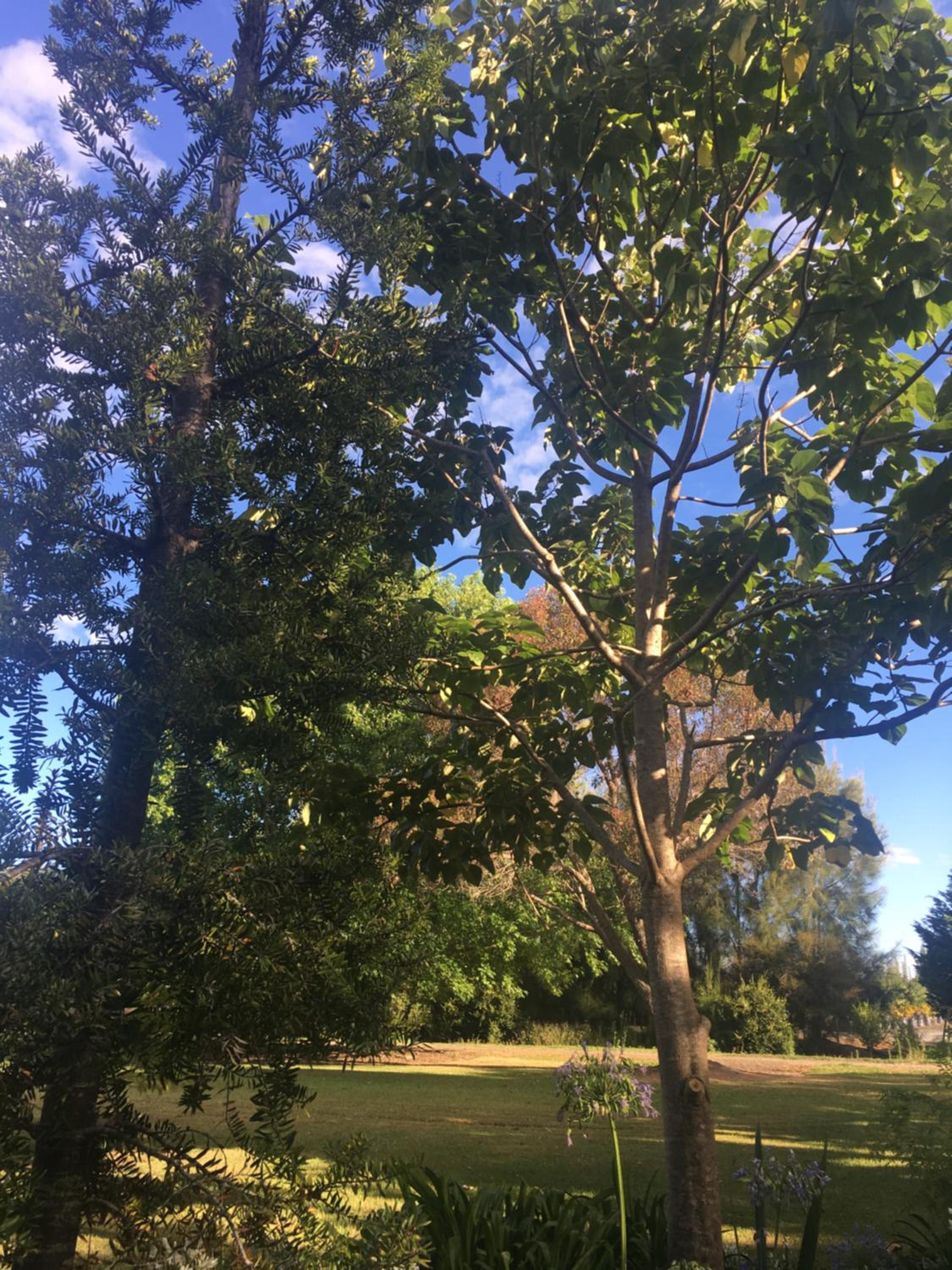 Photo 46