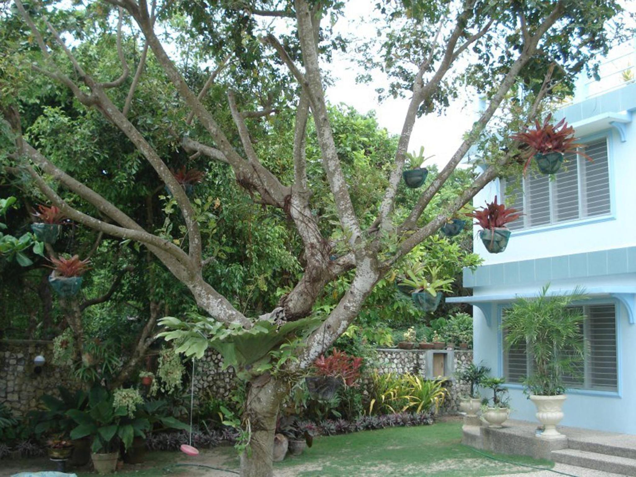 High Steps Pension