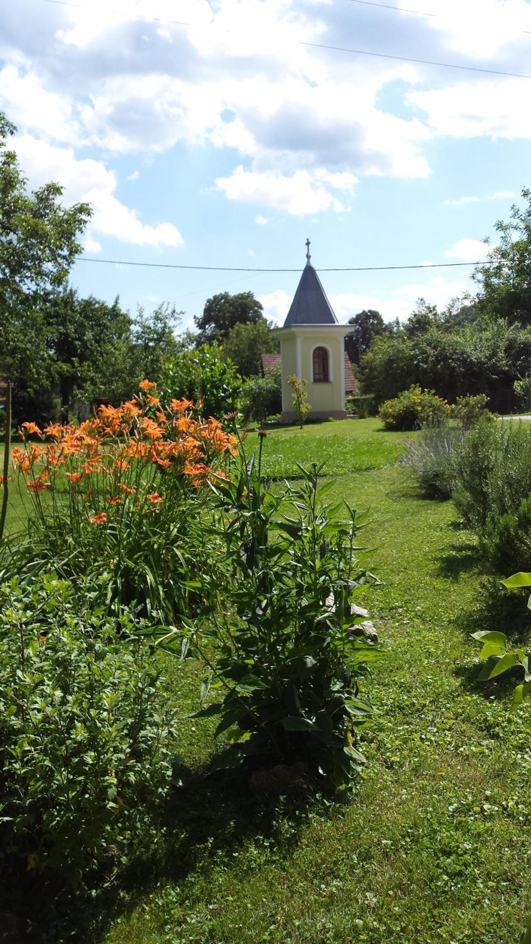 Photo 46