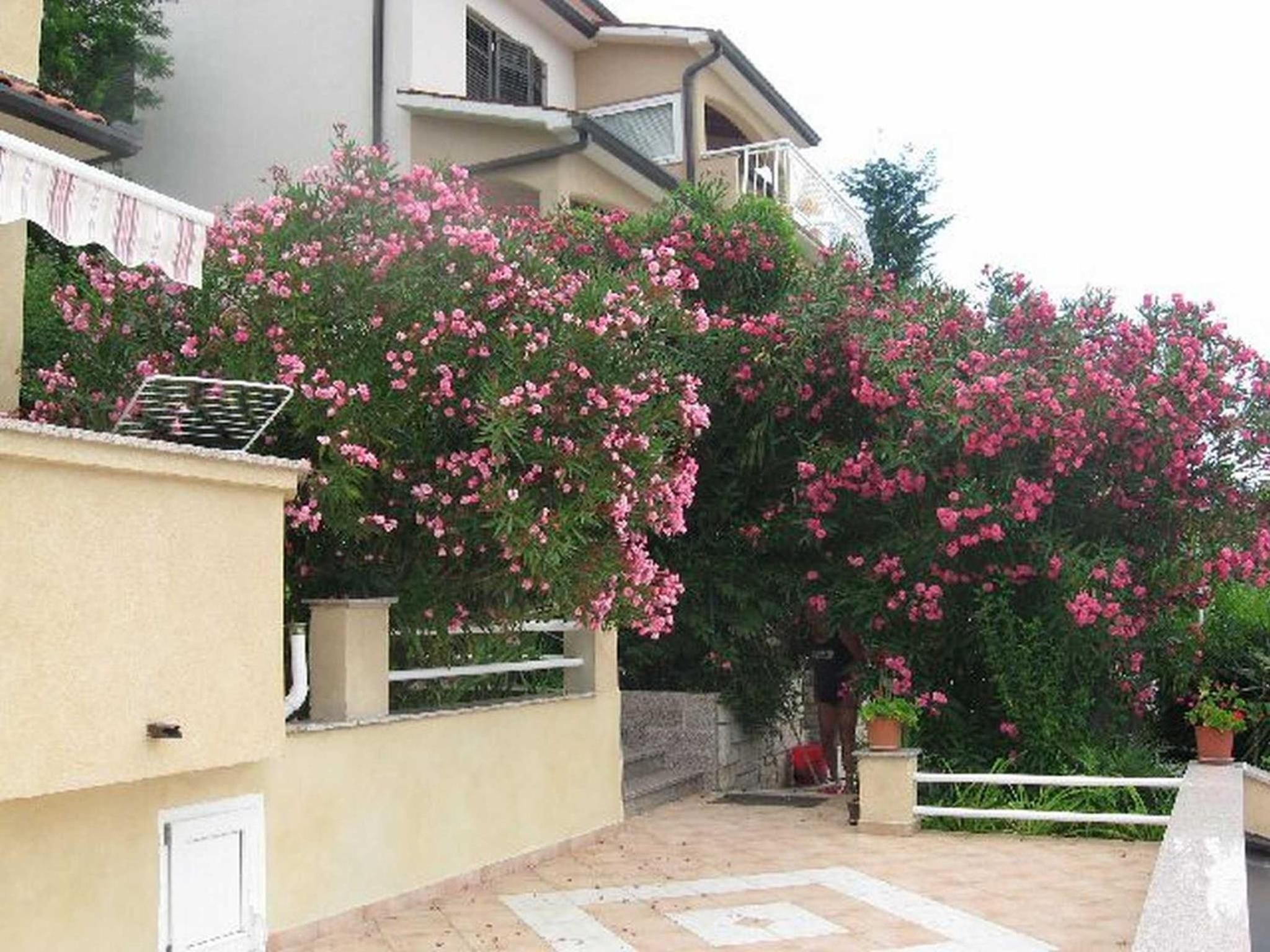 Apartments Silmare