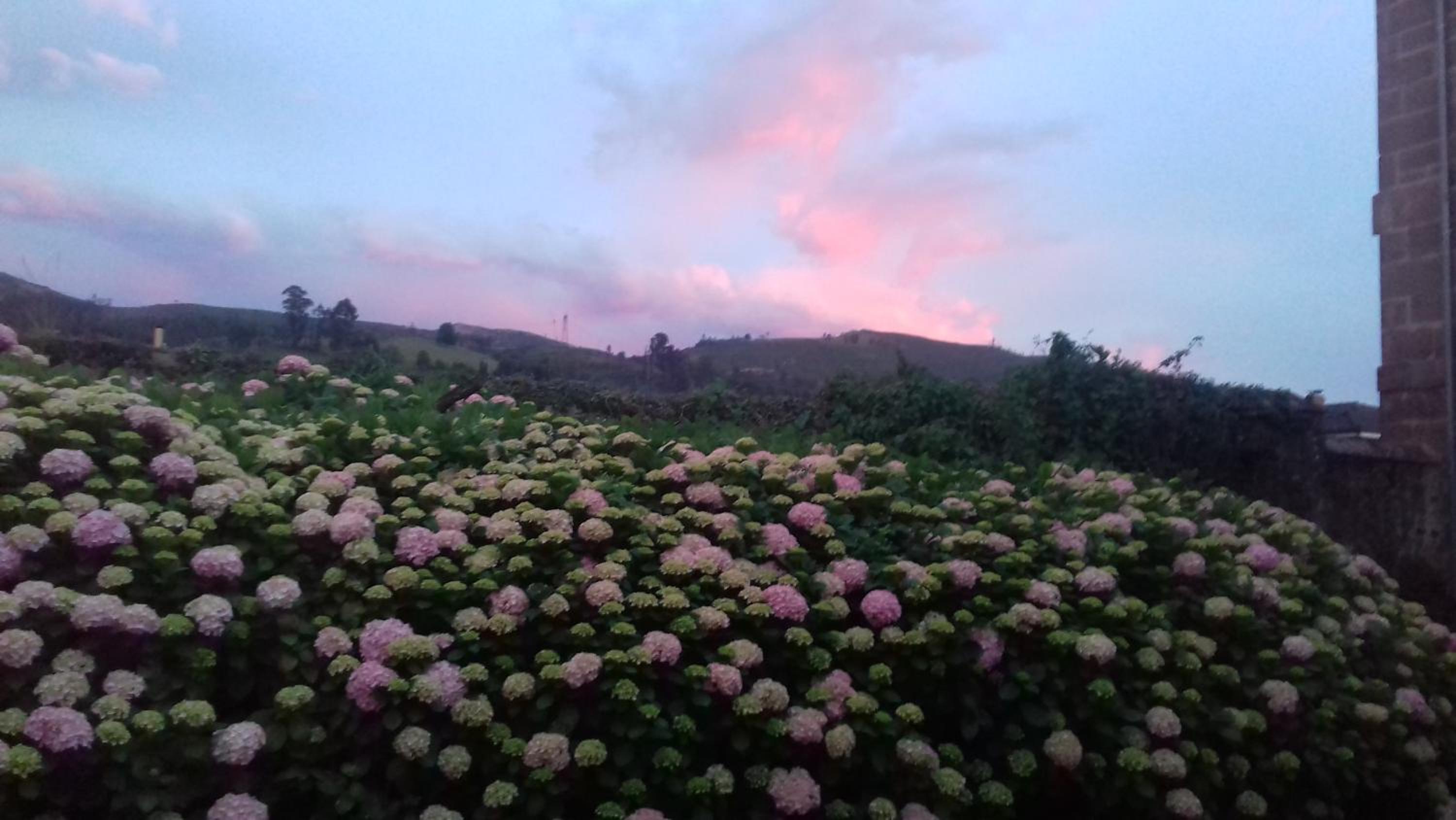 Casa Velarde - Property Image 19