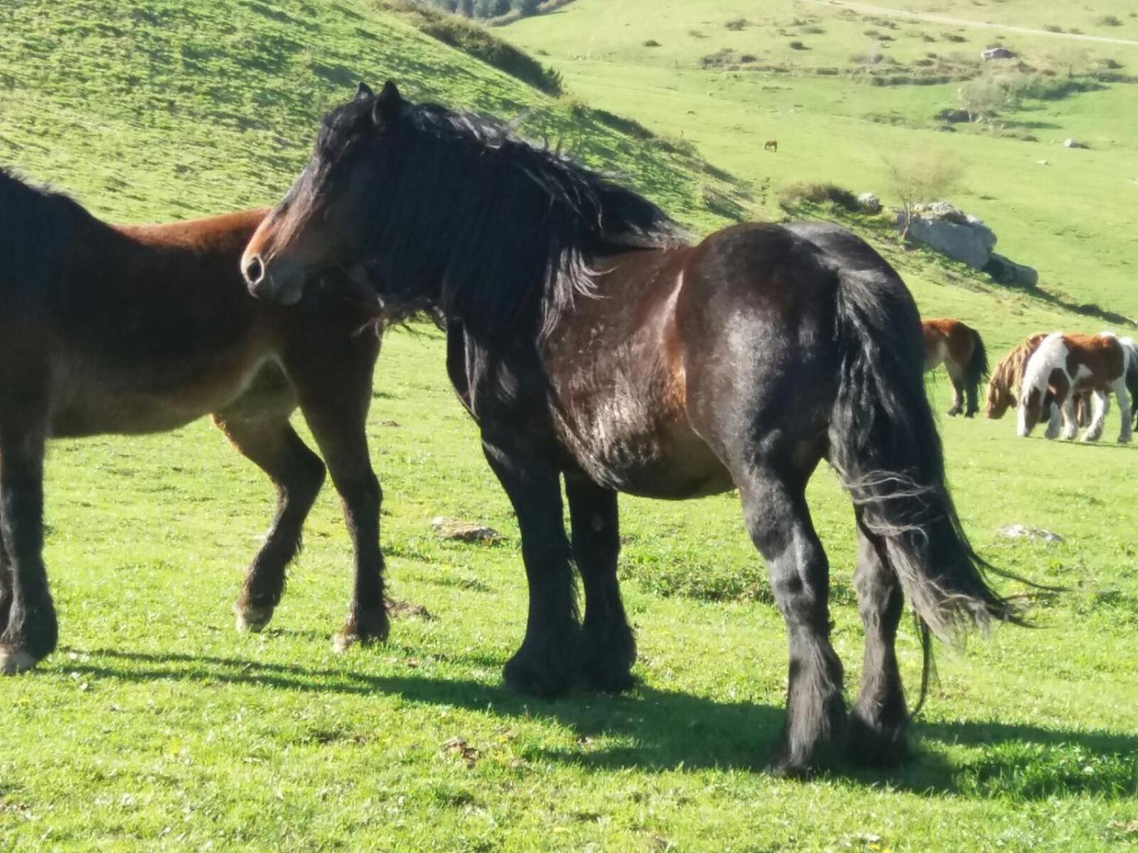 Casa Velarde - Property Image 18