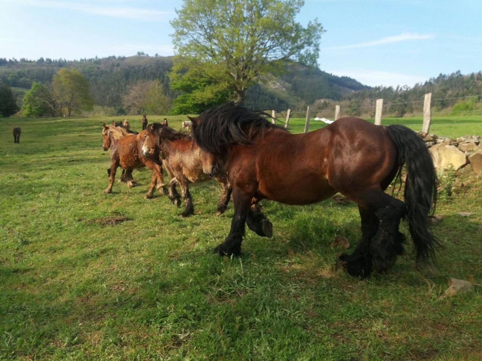 Casa Velarde - Property Image 17