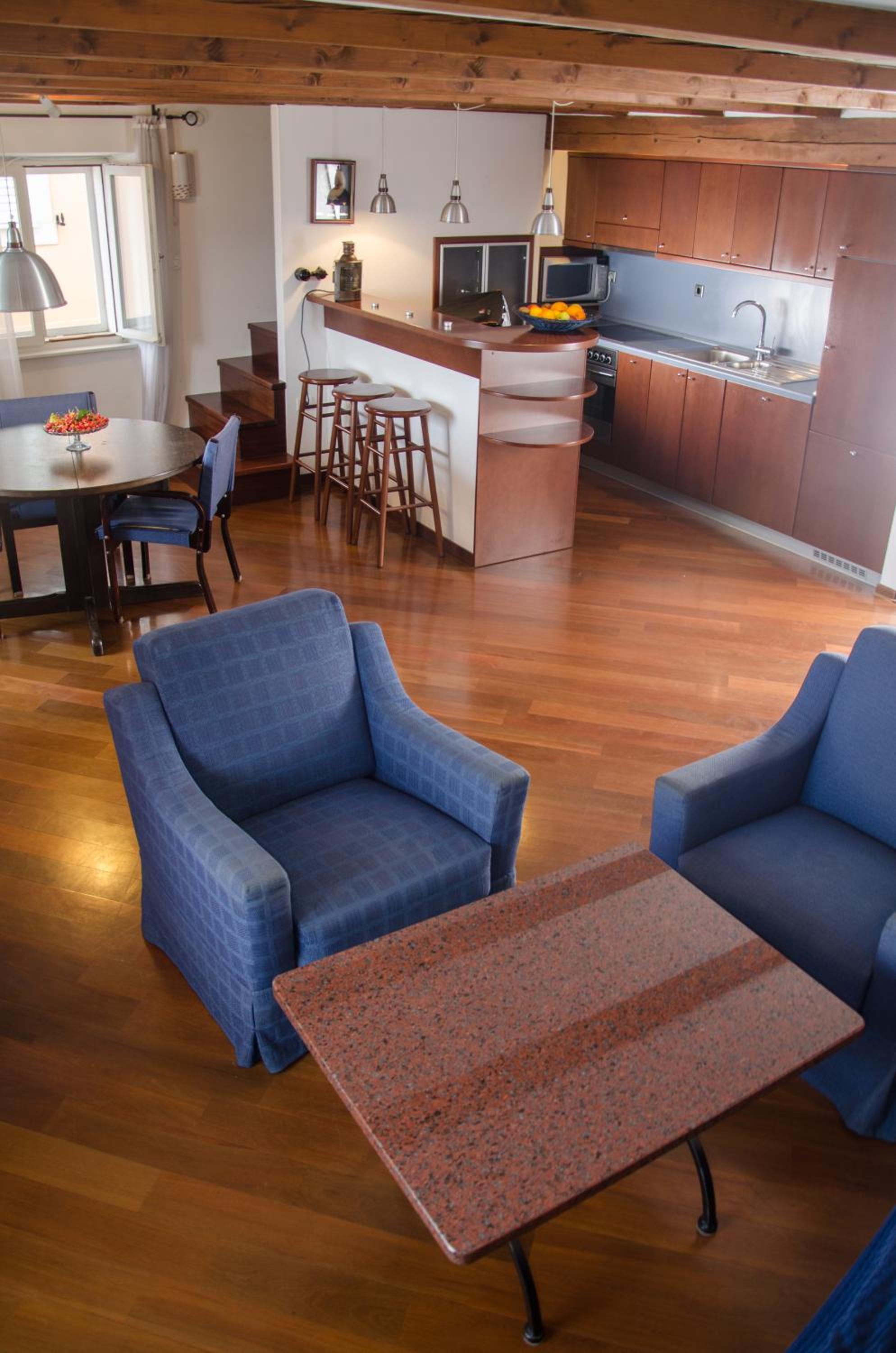 Penthouse Presernovo nabrezje view 3