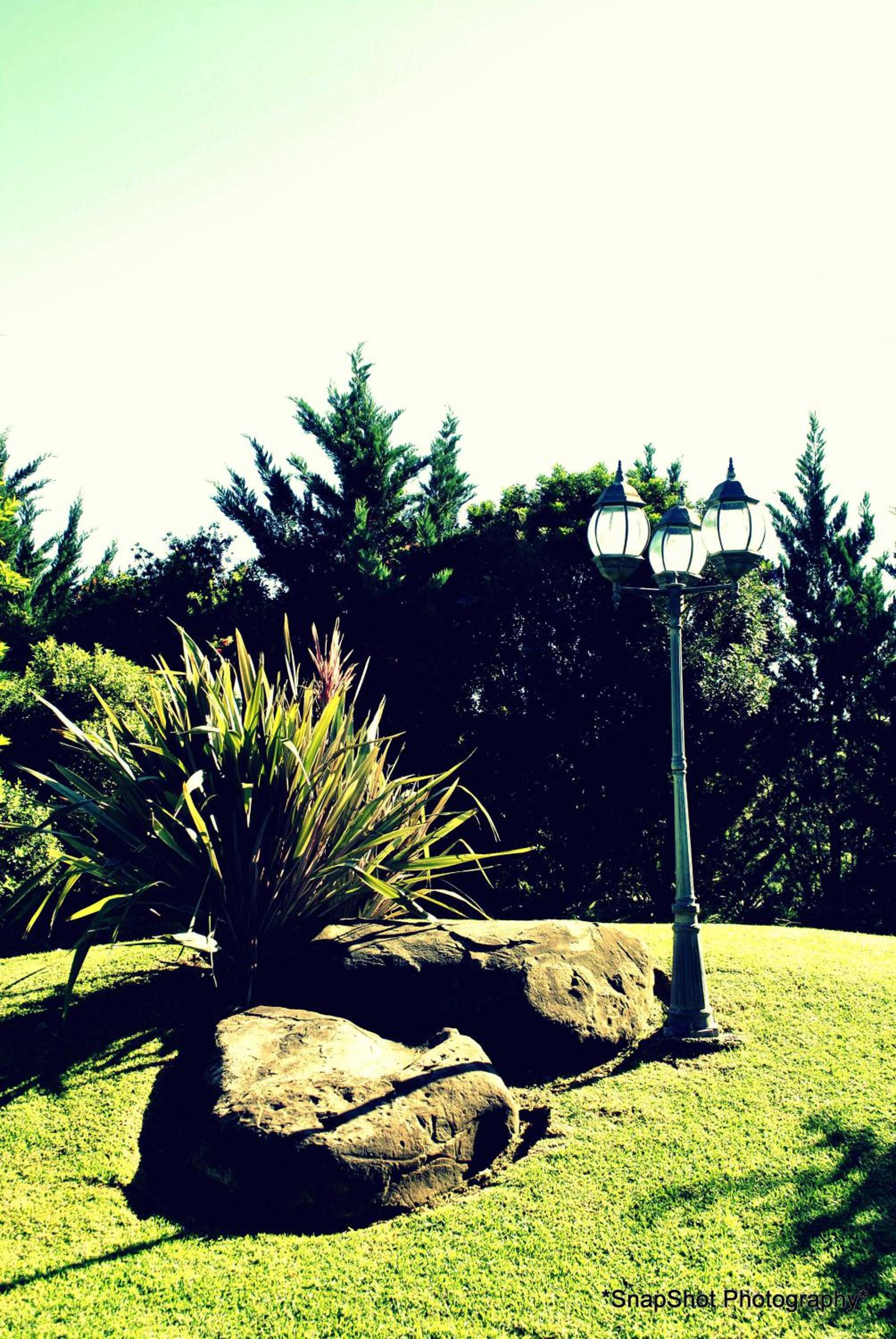 Photo 48