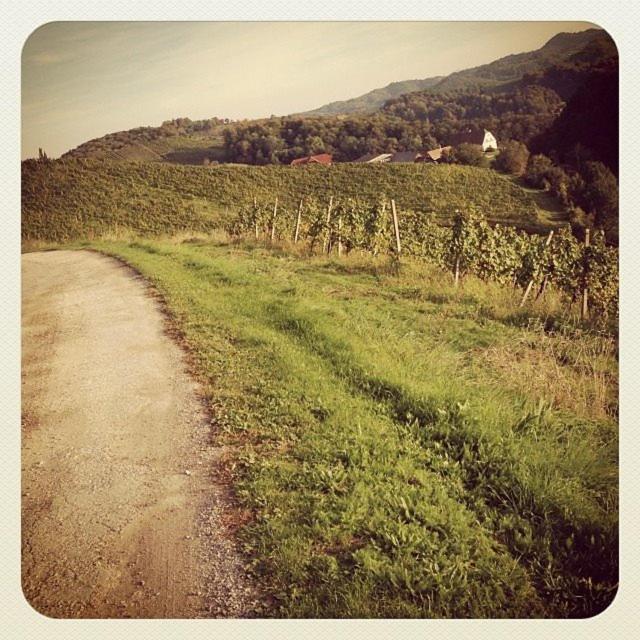 Holiday Home Winzerhaus Eva, photo 10
