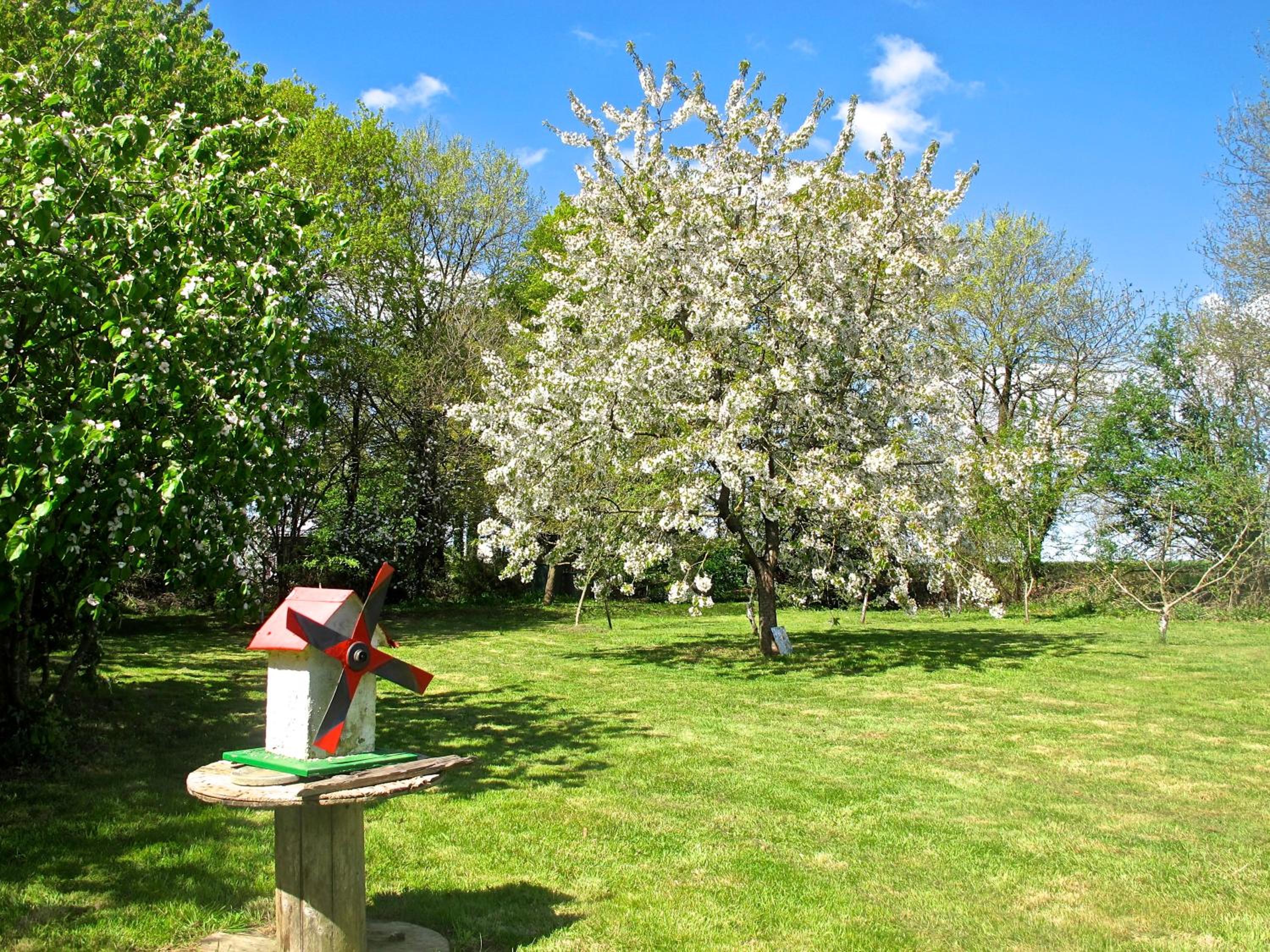 Photo 20